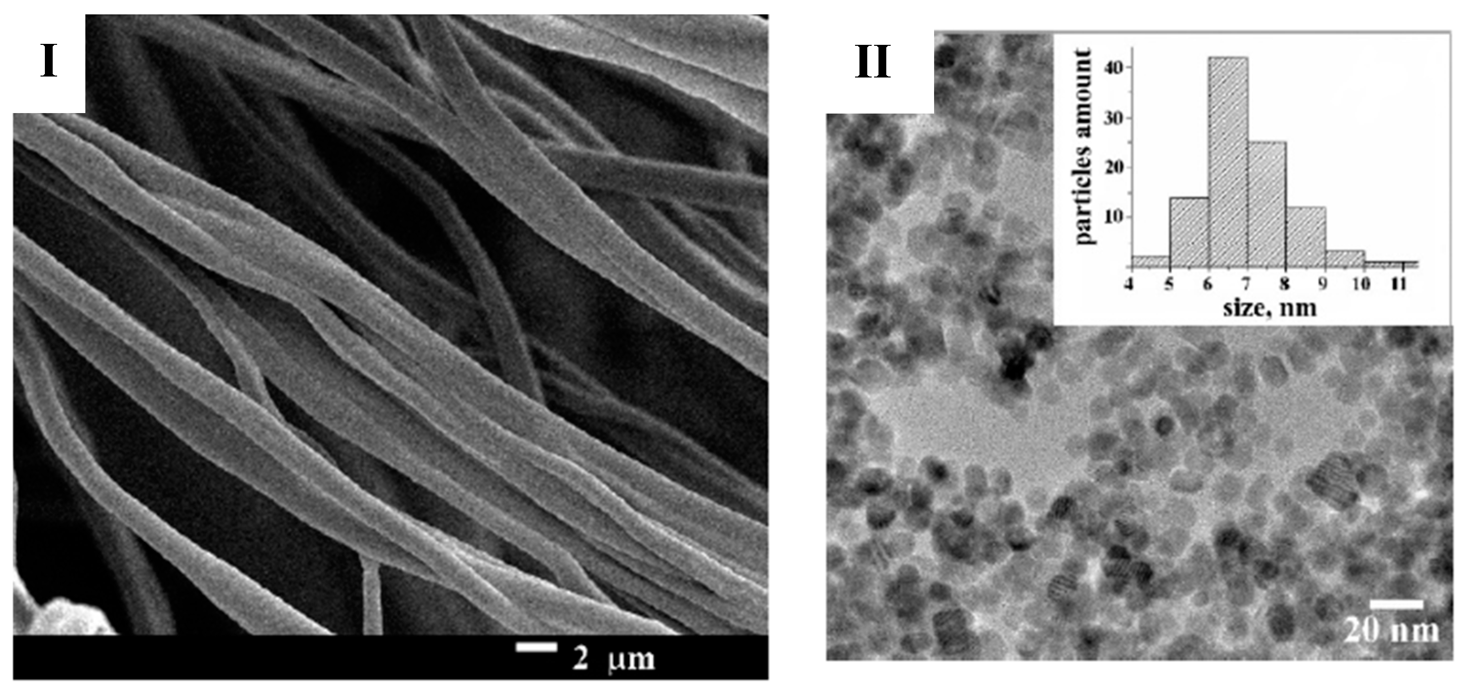 Polymers 17 00435 g007 Polymers 17 00435 g007