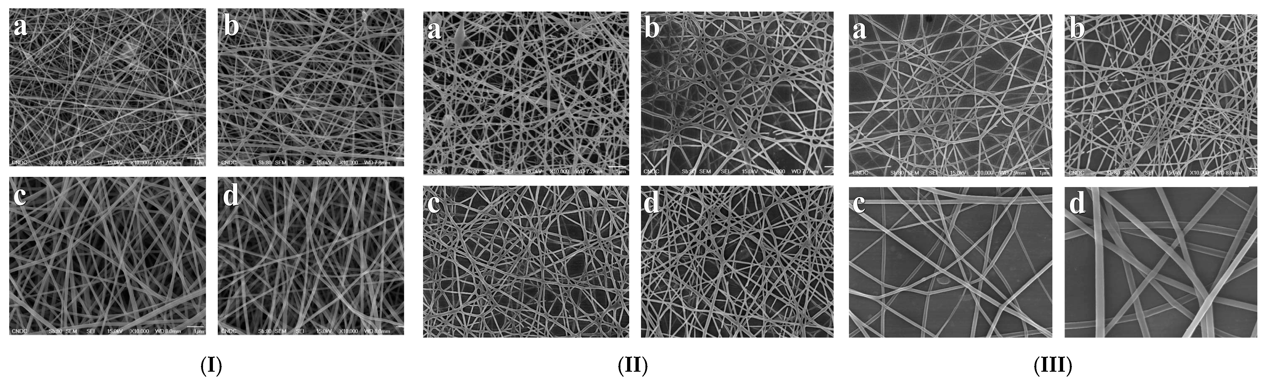 Polymers 17 00435 g010 Polymers 17 00435 g010