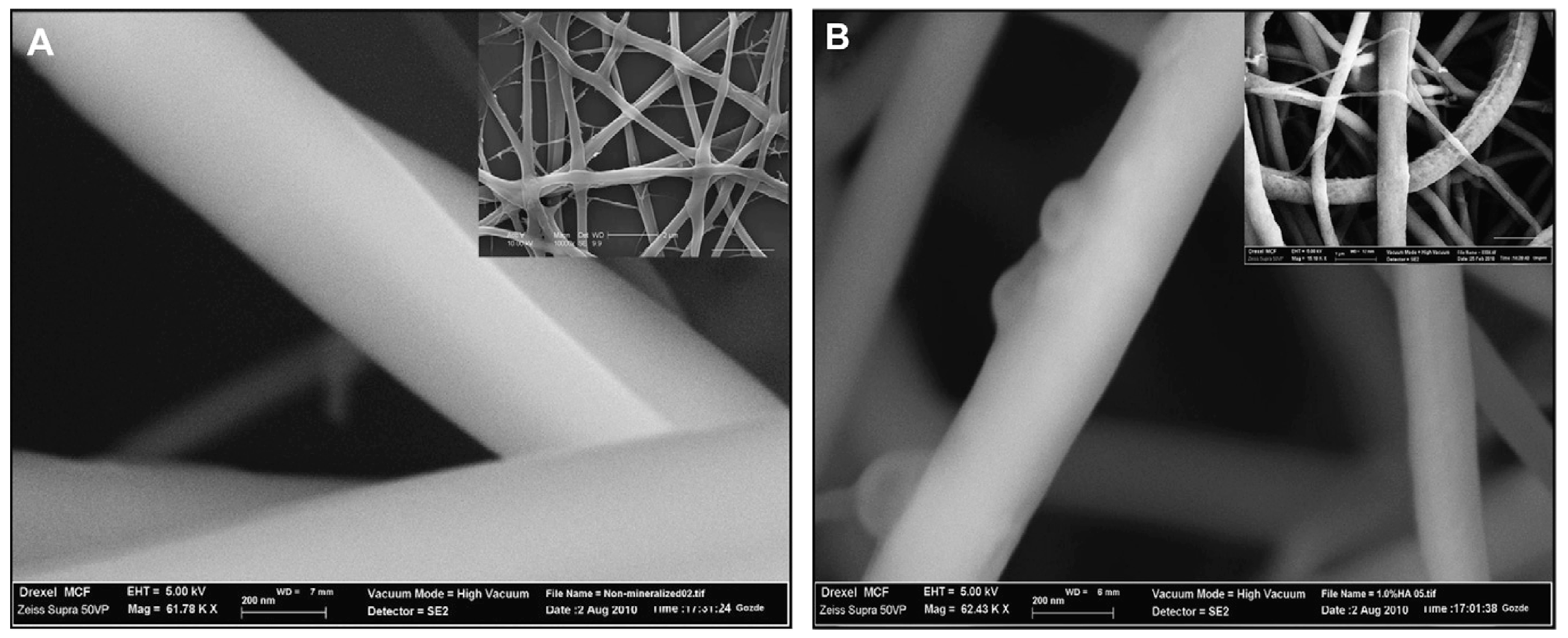 Polymers 17 00435 g011 Polymers 17 00435 g011
