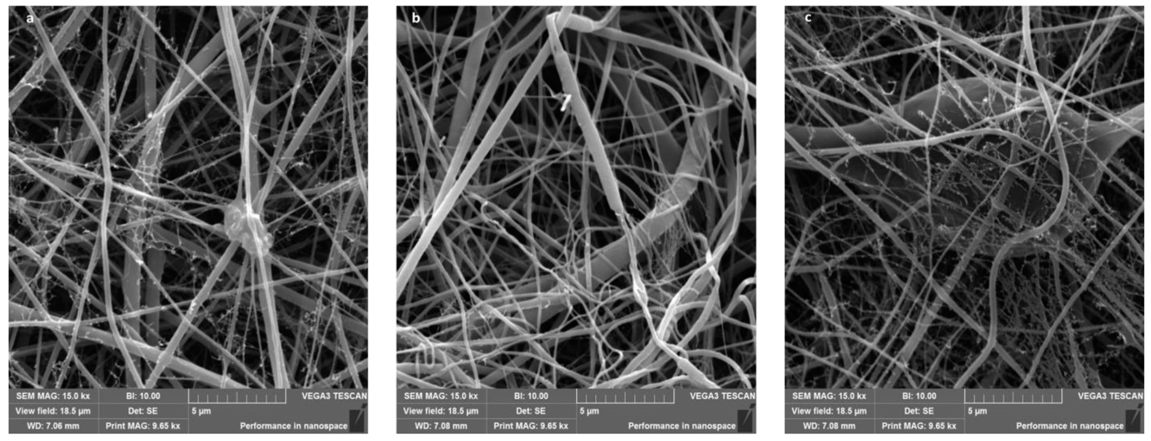 Polymers 17 00435 g012 Polymers 17 00435 g012