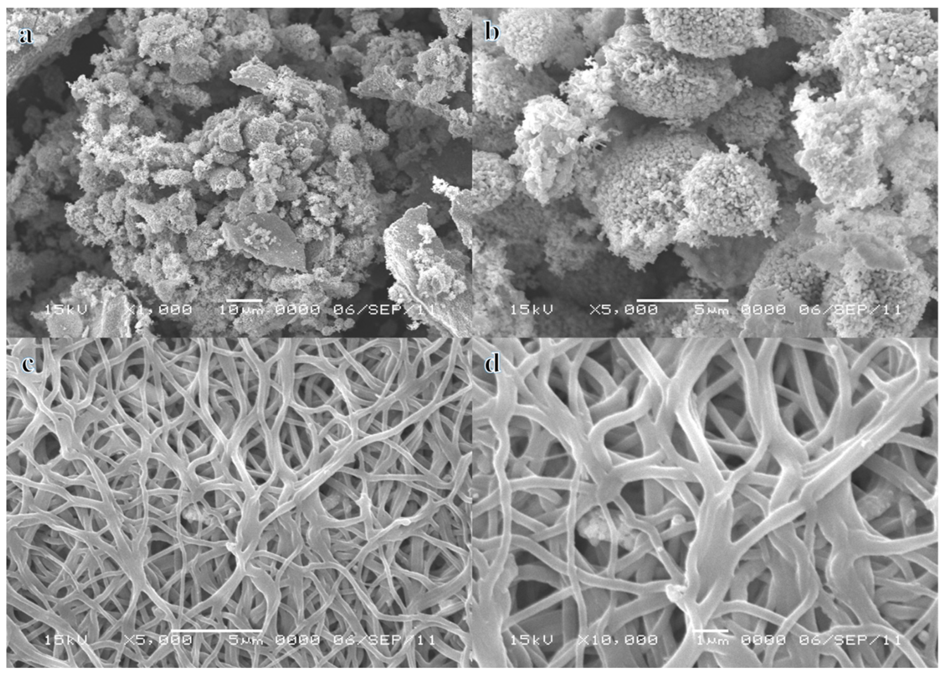 Polymers 17 00443 g001