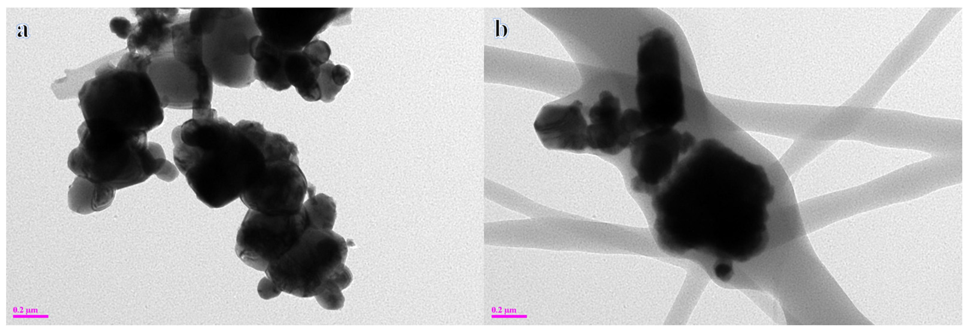 Polymers 17 00443 g003