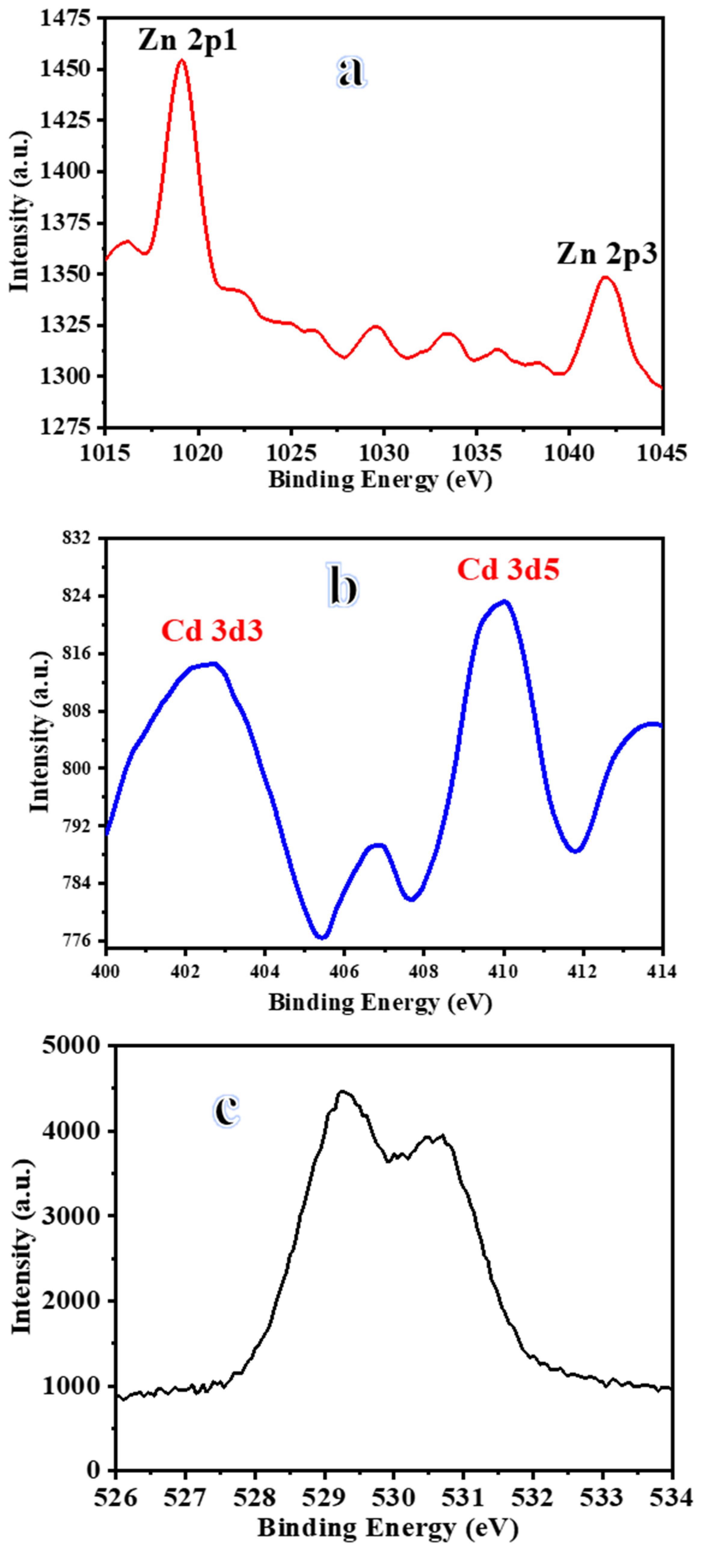 Polymers 17 00443 g004
