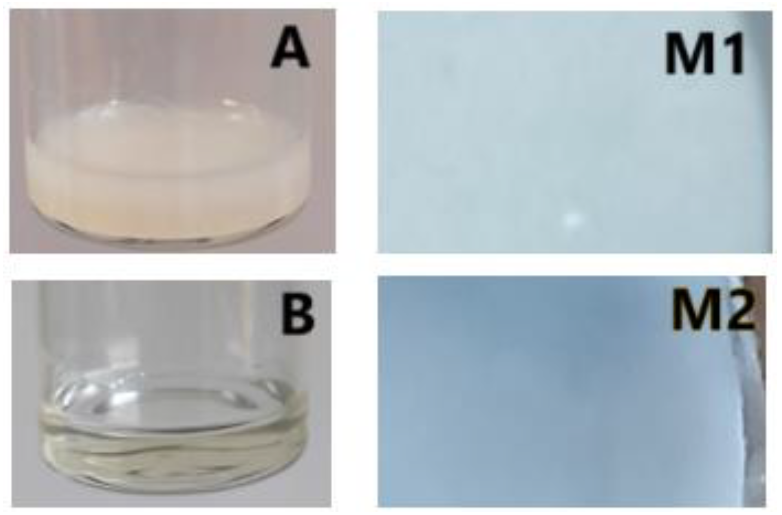 Polymers 17 00446 g002 Polymers 17 00446 g002