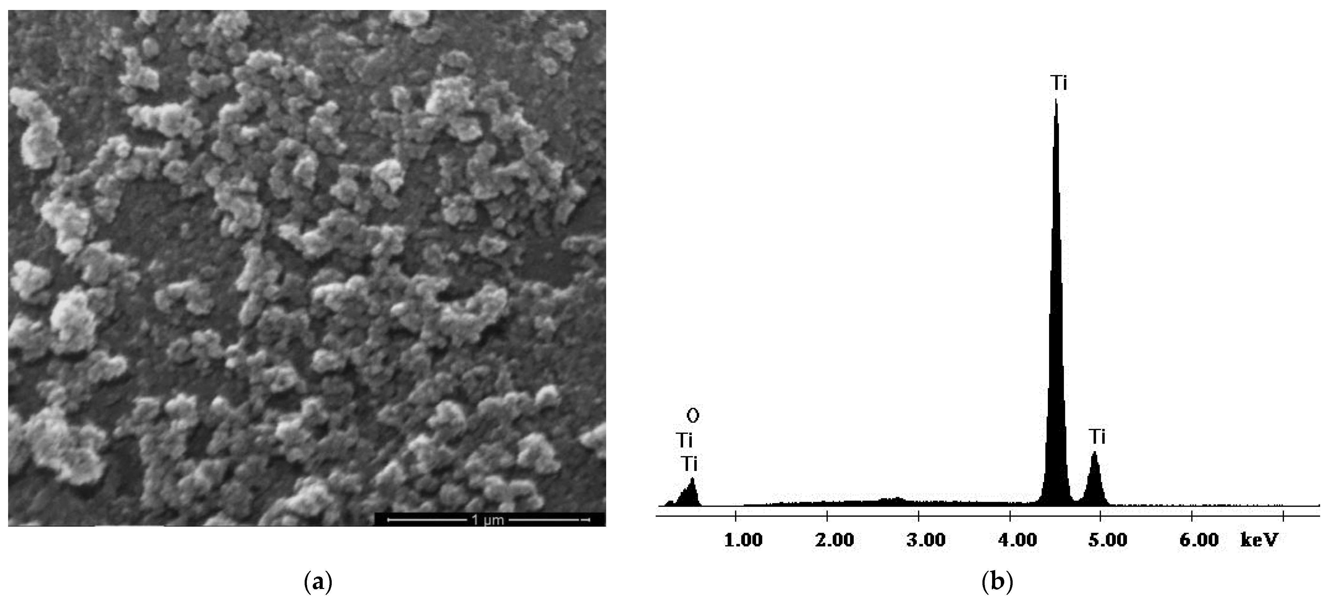 Polymers 17 00446 g005 Polymers 17 00446 g005