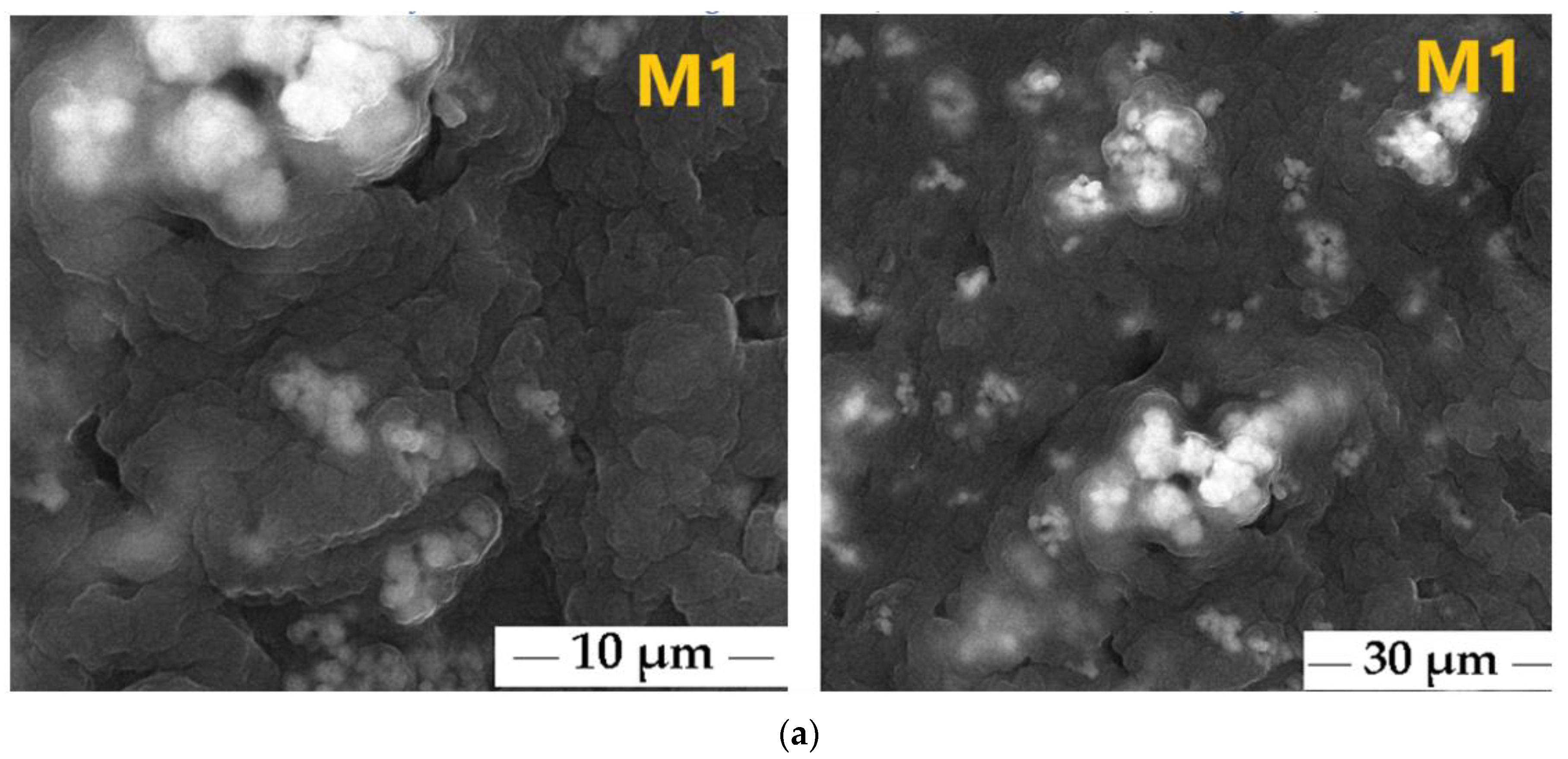 Polymers 17 00446 g008a Polymers 17 00446 g008a