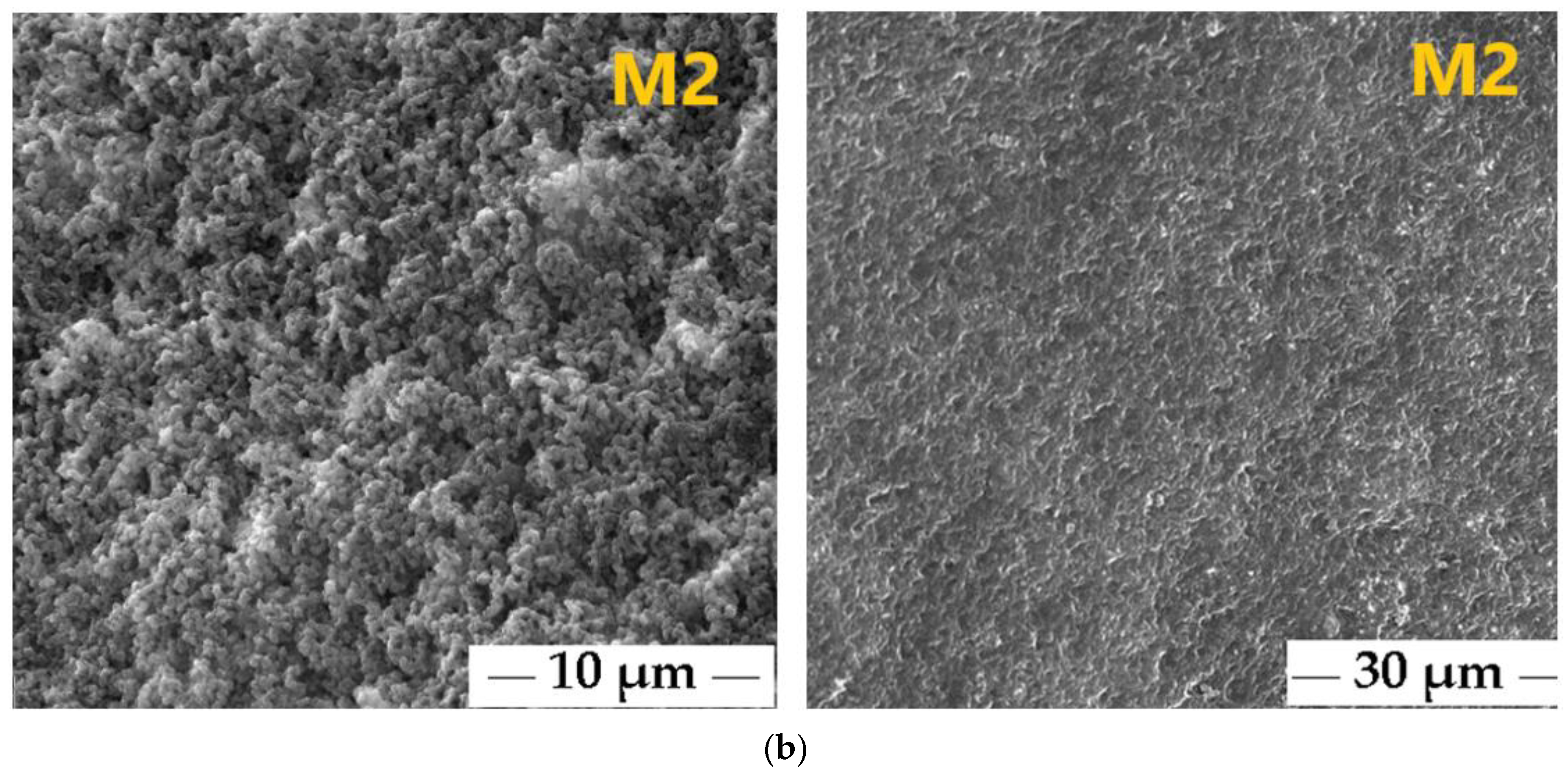 Polymers 17 00446 g008b Polymers 17 00446 g008b