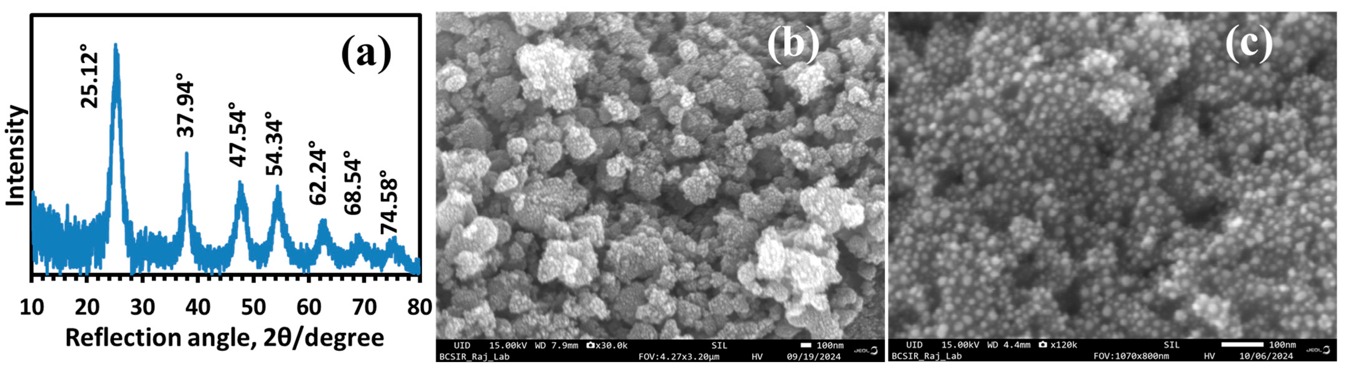 Polymers 17 00481 g001