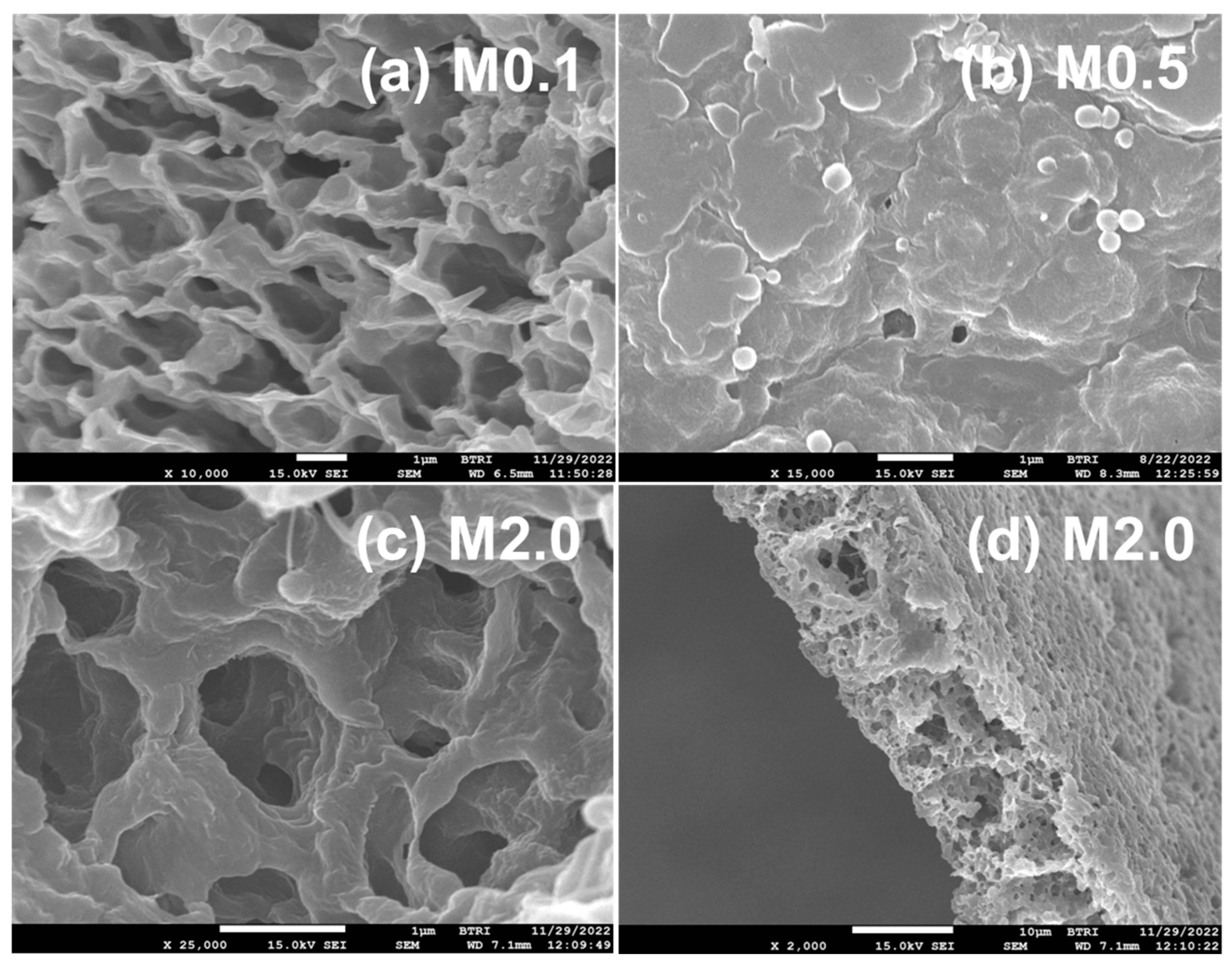 Polymers 17 00481 g015