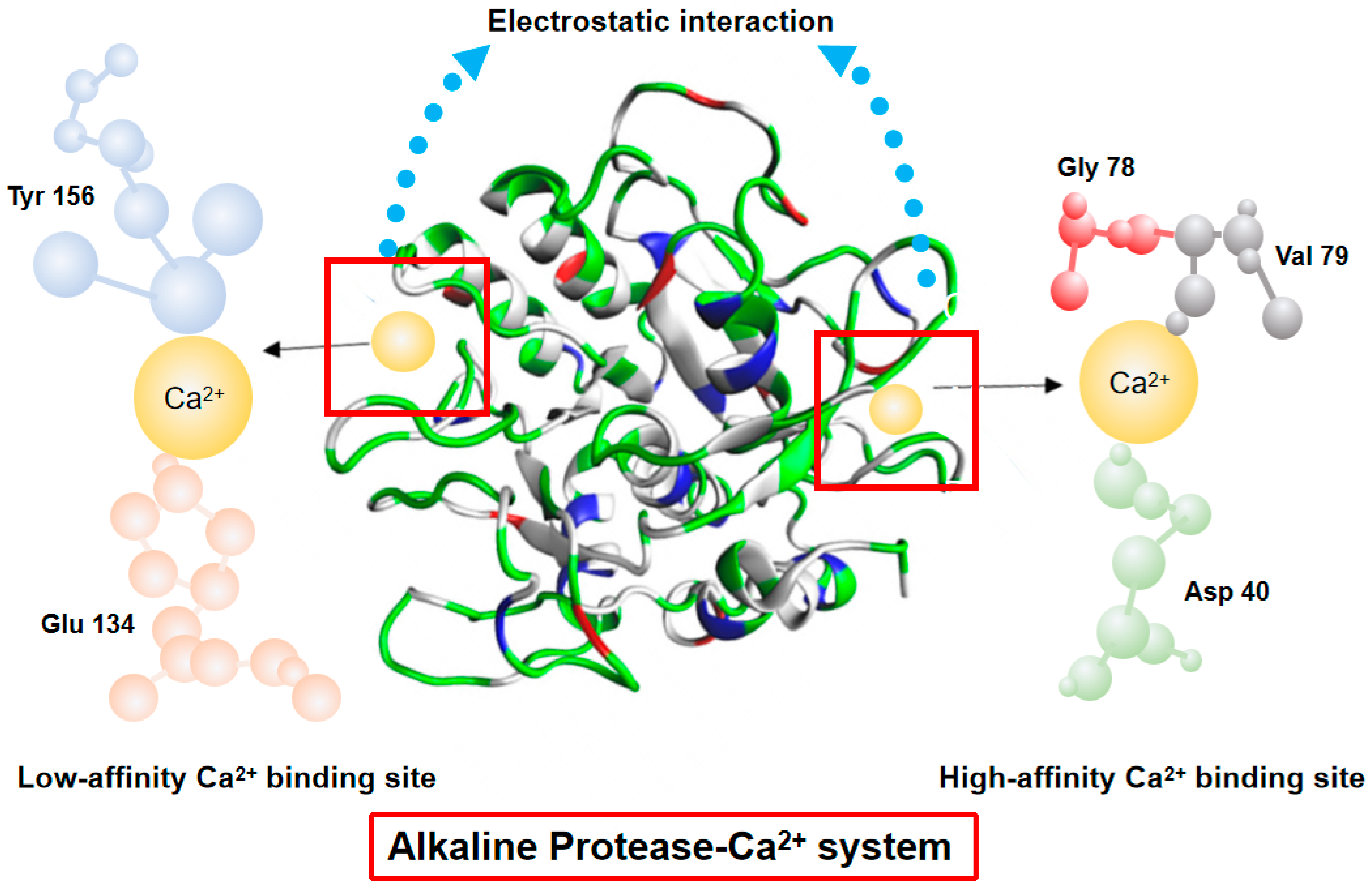 Polymers 17 00490 g001