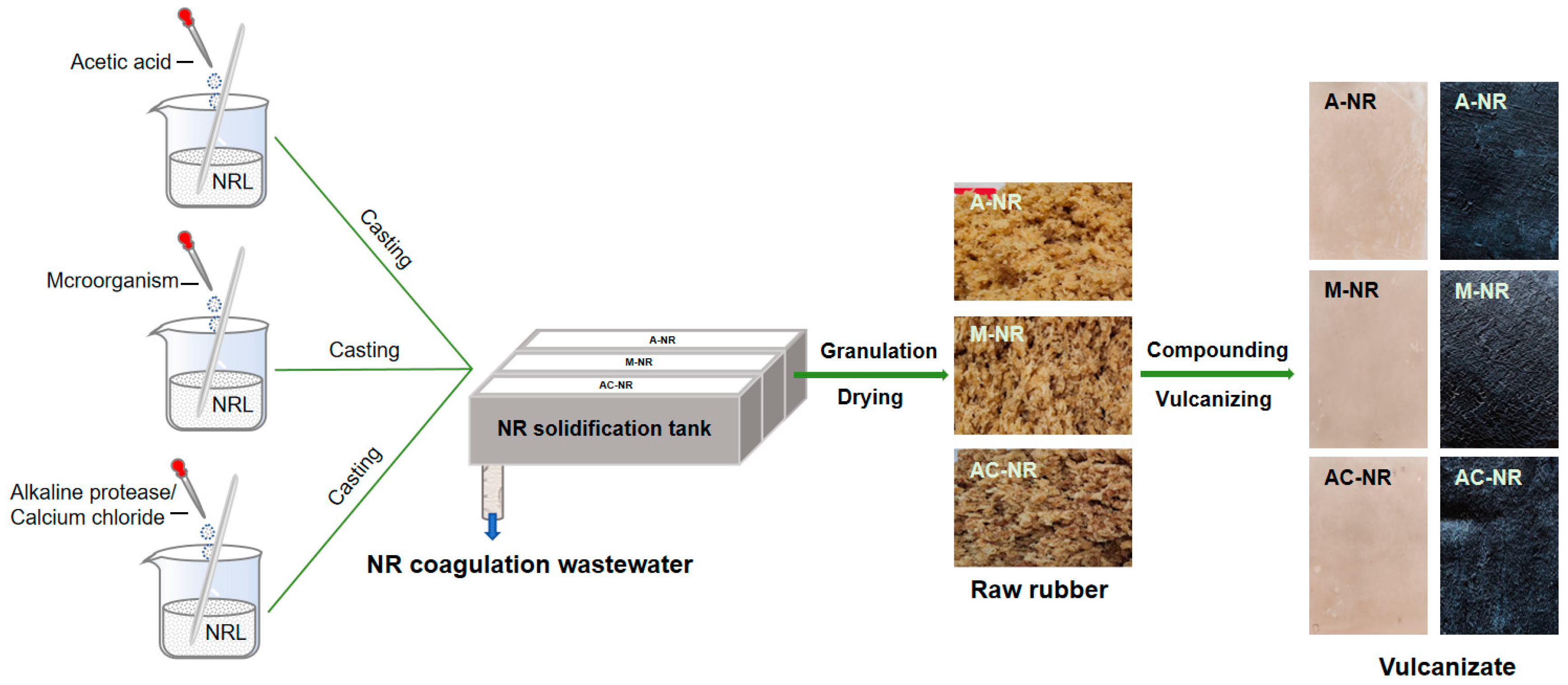 Polymers 17 00490 g002