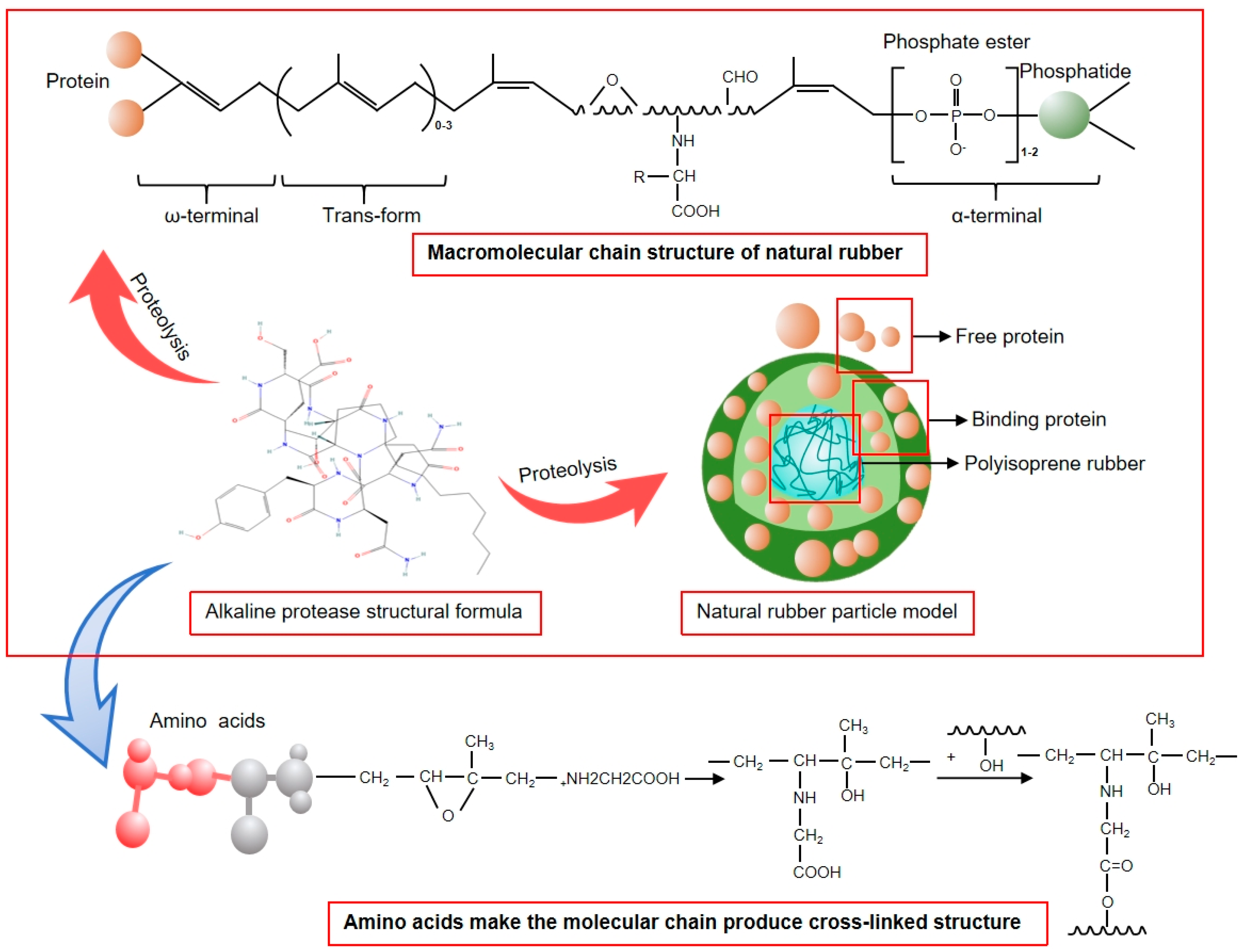 Polymers 17 00490 g006