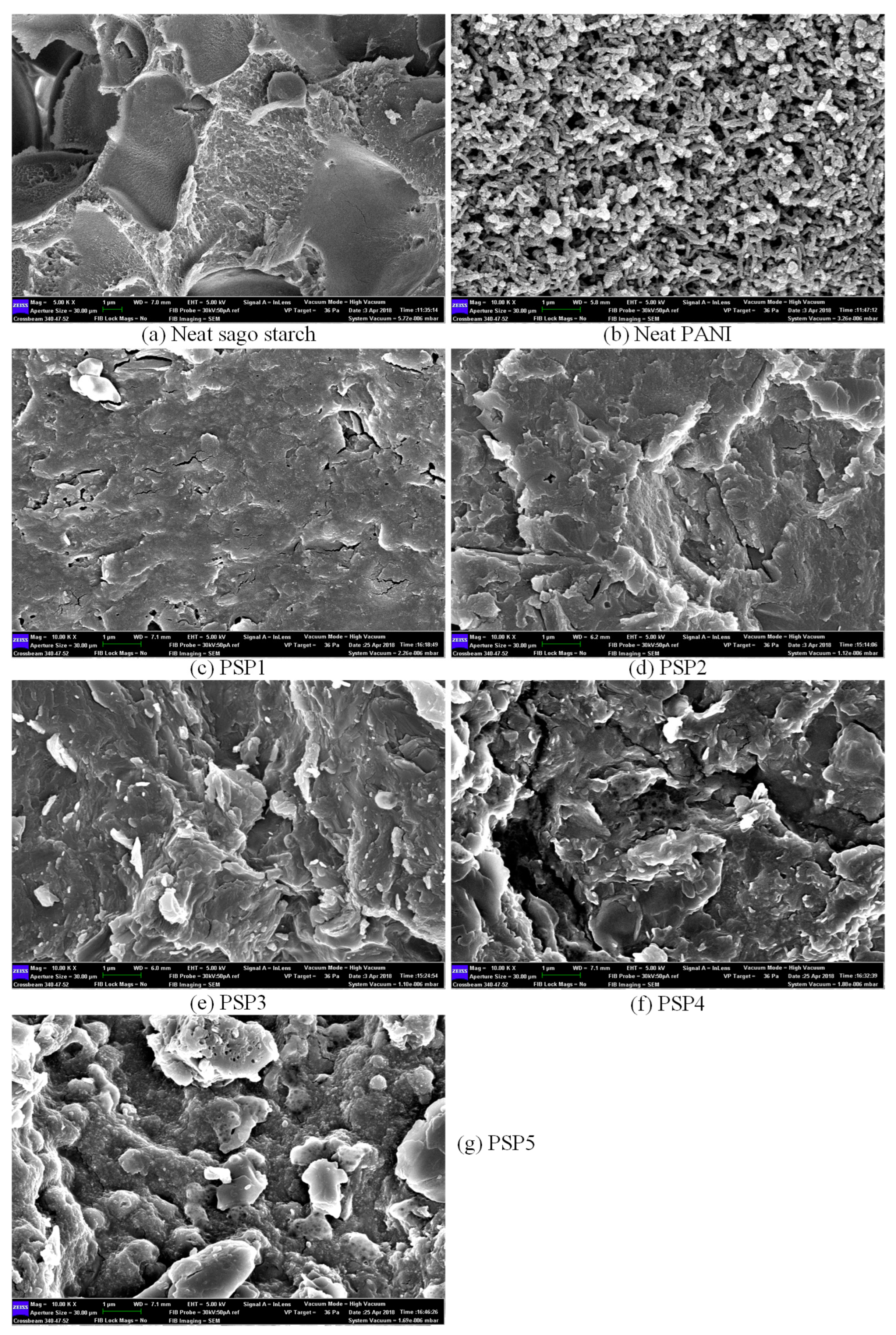 Polymers 17 00497 g001