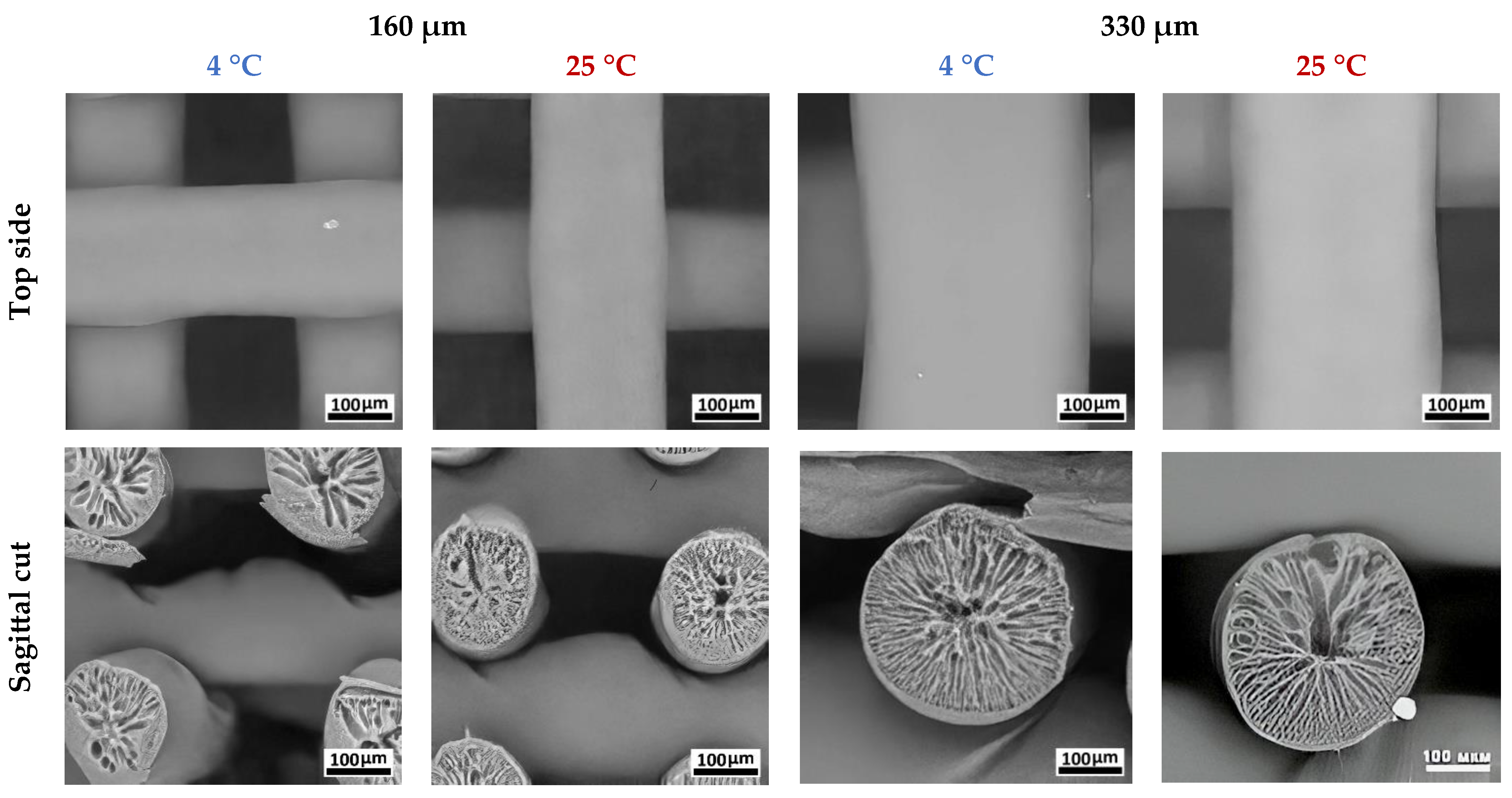 Polymers 17 00501 g005