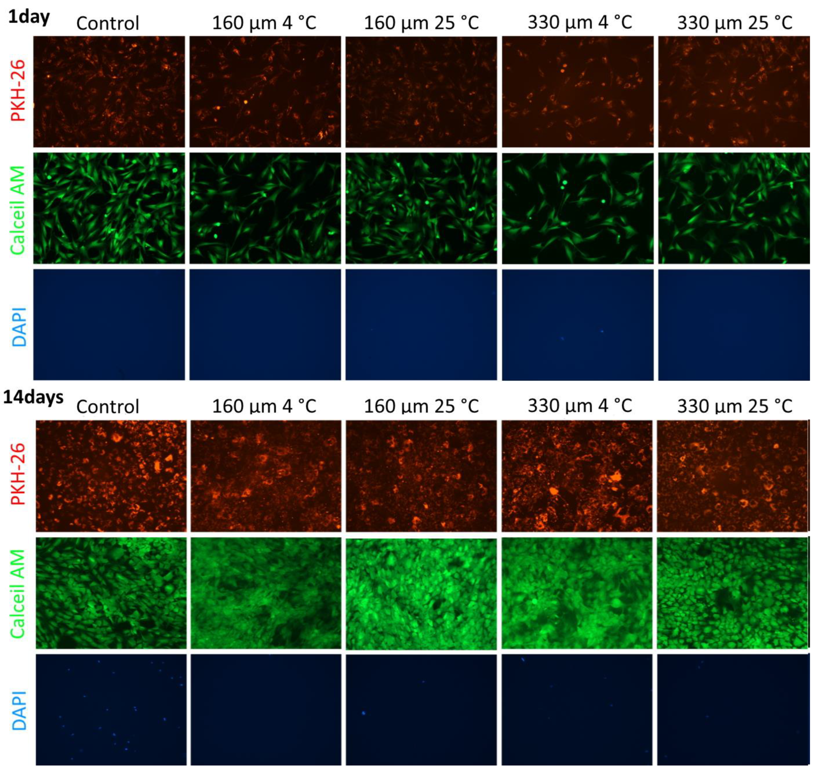 Polymers 17 00501 g010