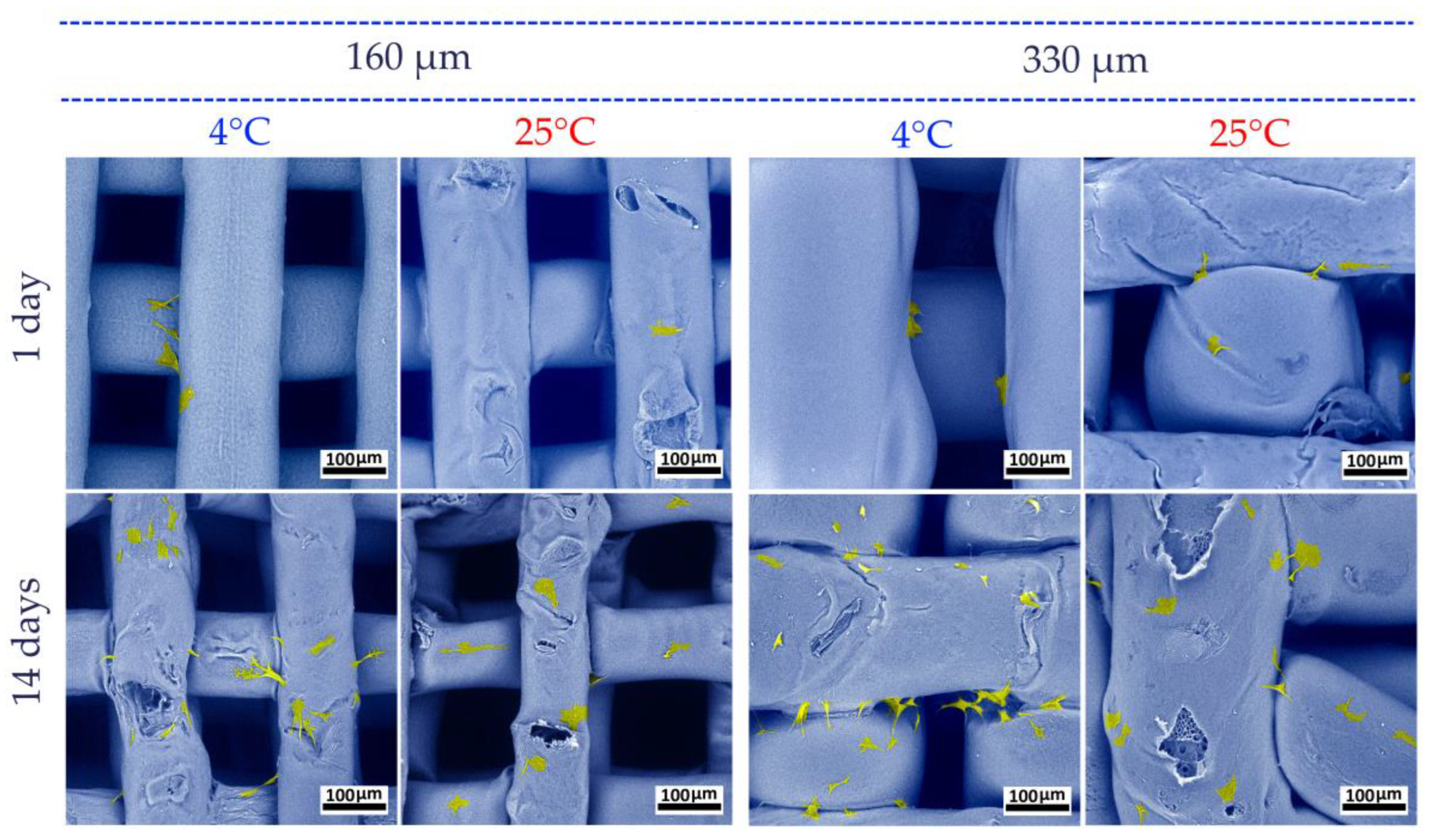 Polymers 17 00501 g011
