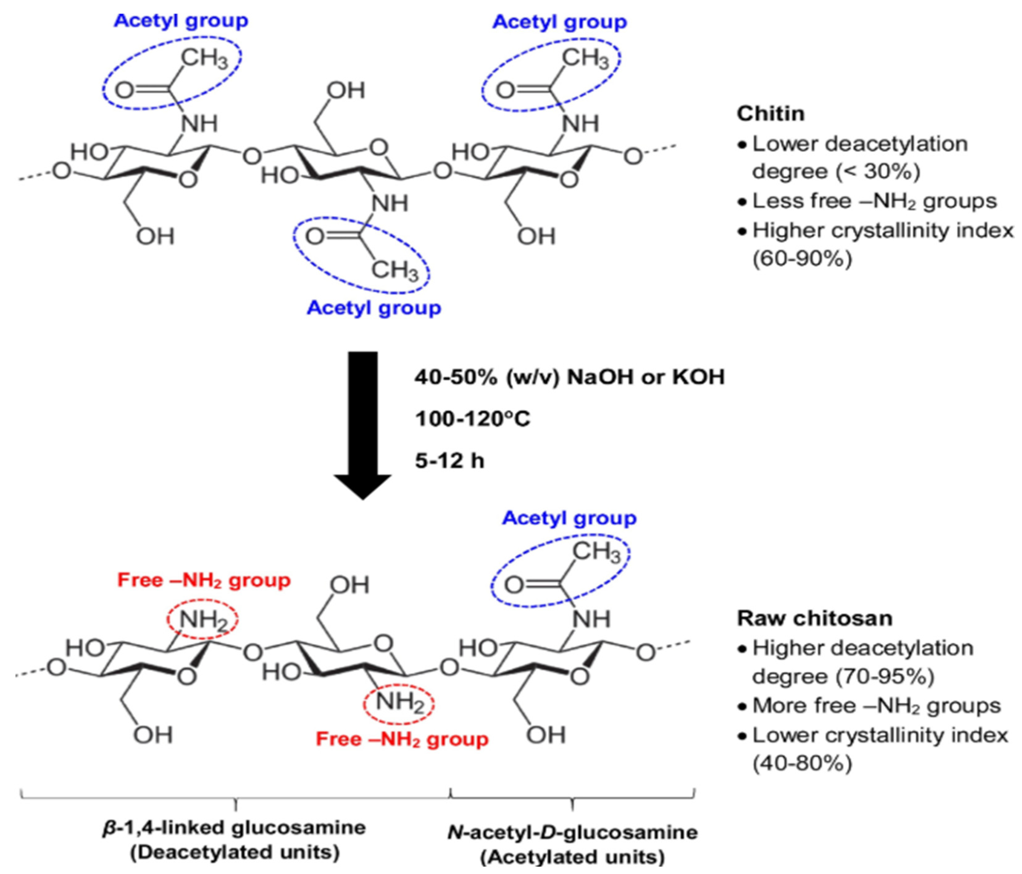 Polymers 17 00502 g002 Polymers 17 00502 g002