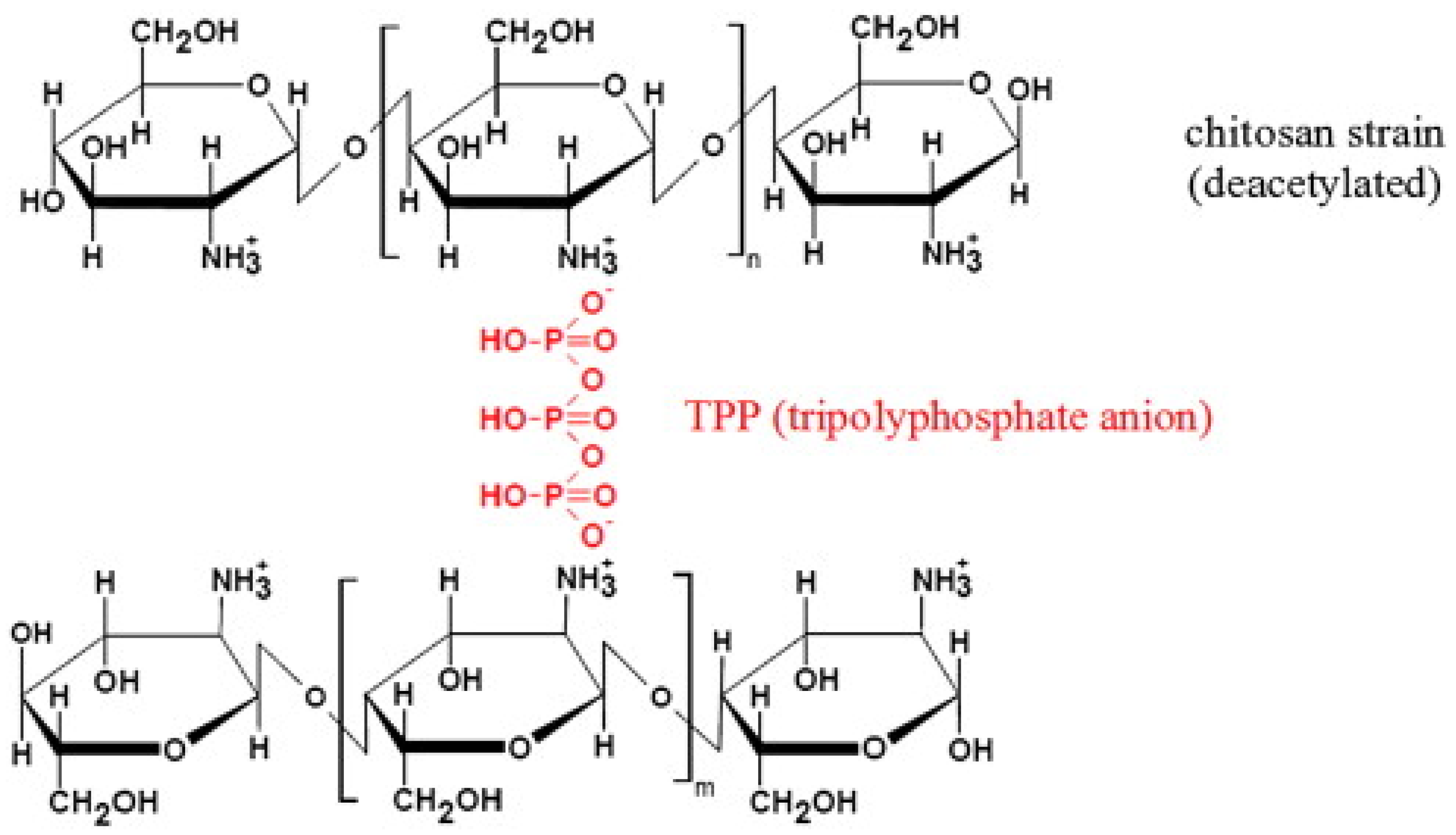 Polymers 17 00502 g004 Polymers 17 00502 g004