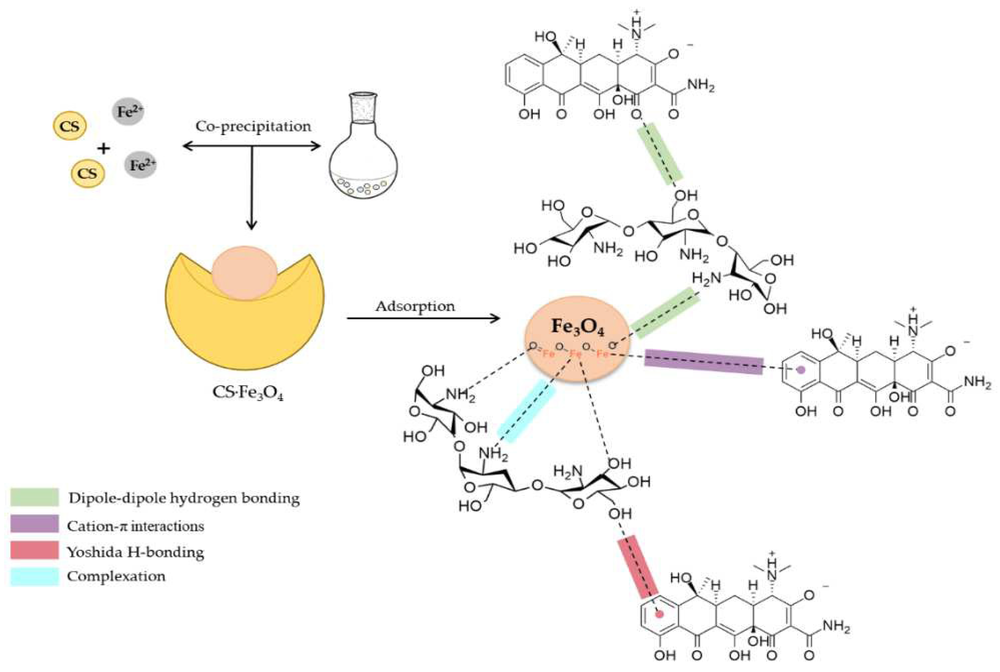 Polymers 17 00502 g005 Polymers 17 00502 g005