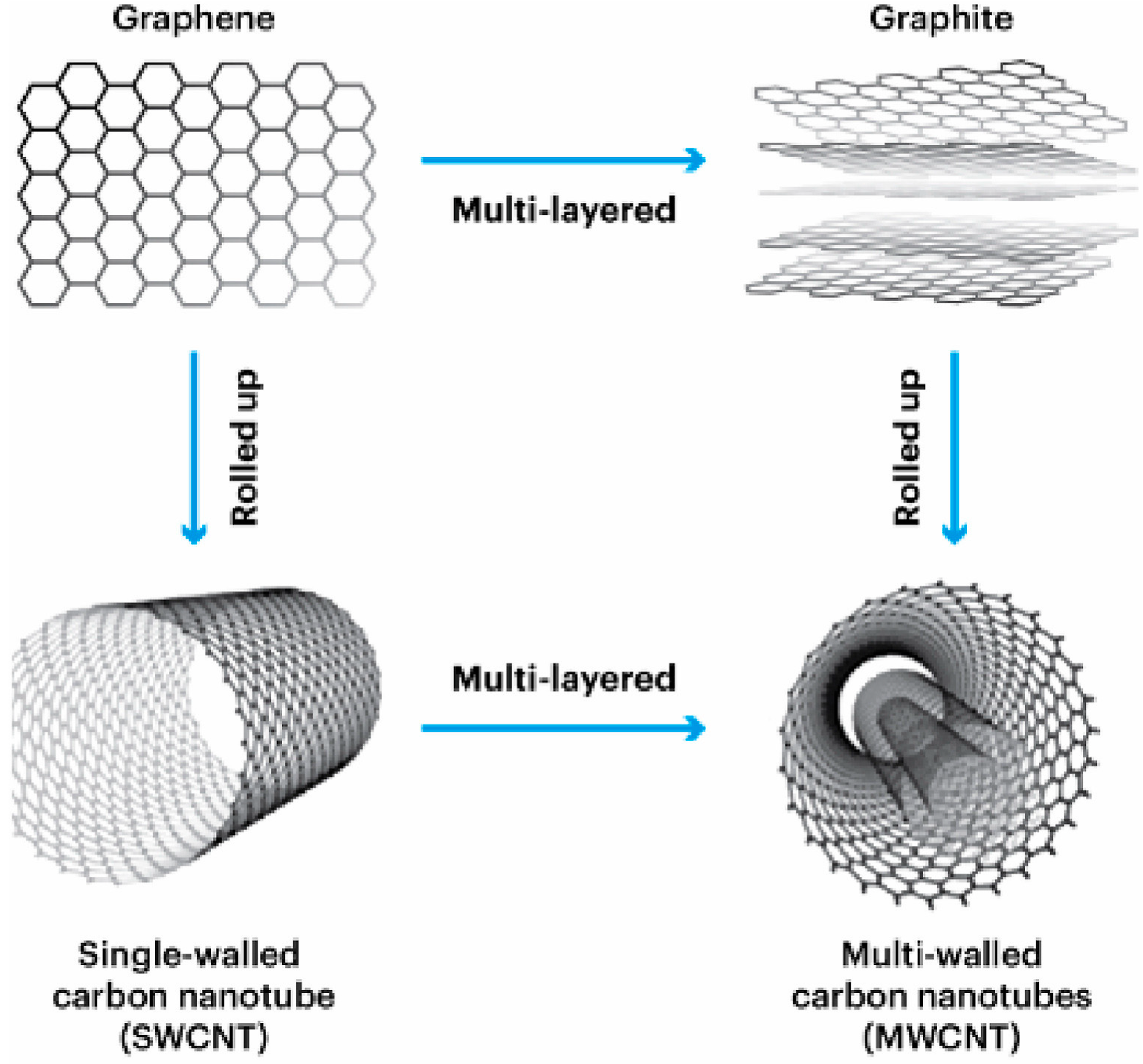 Polymers 17 00517 g002