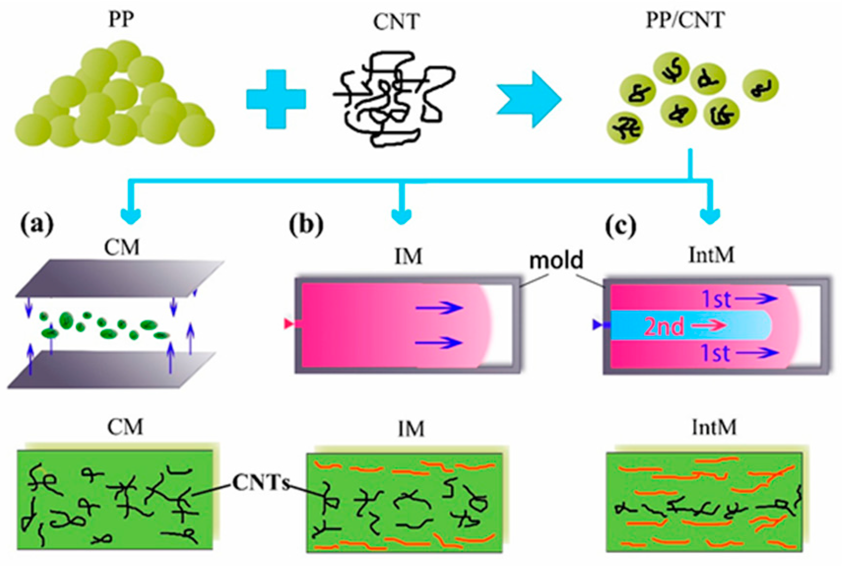 Polymers 17 00517 g003