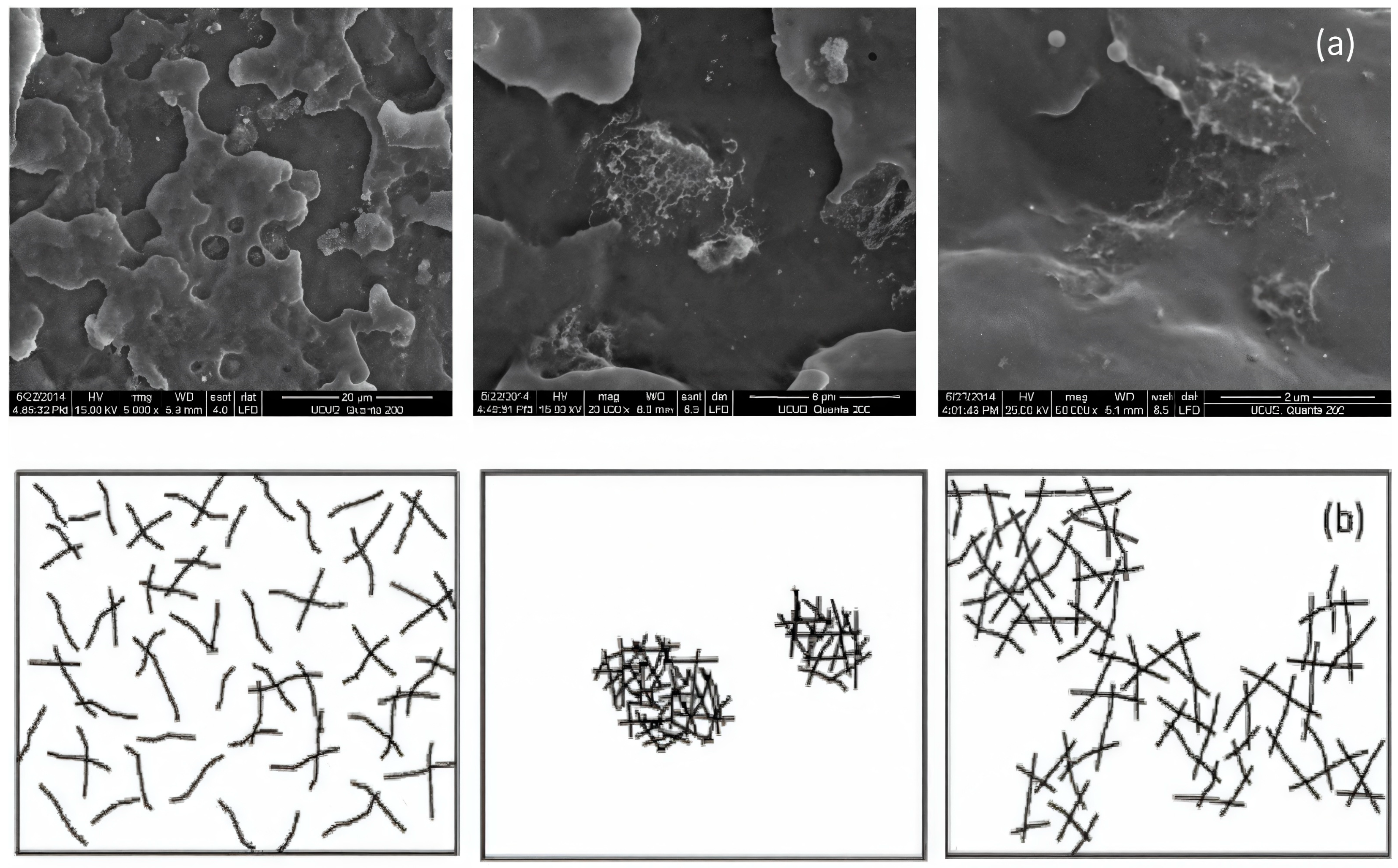Polymers 17 00517 g008