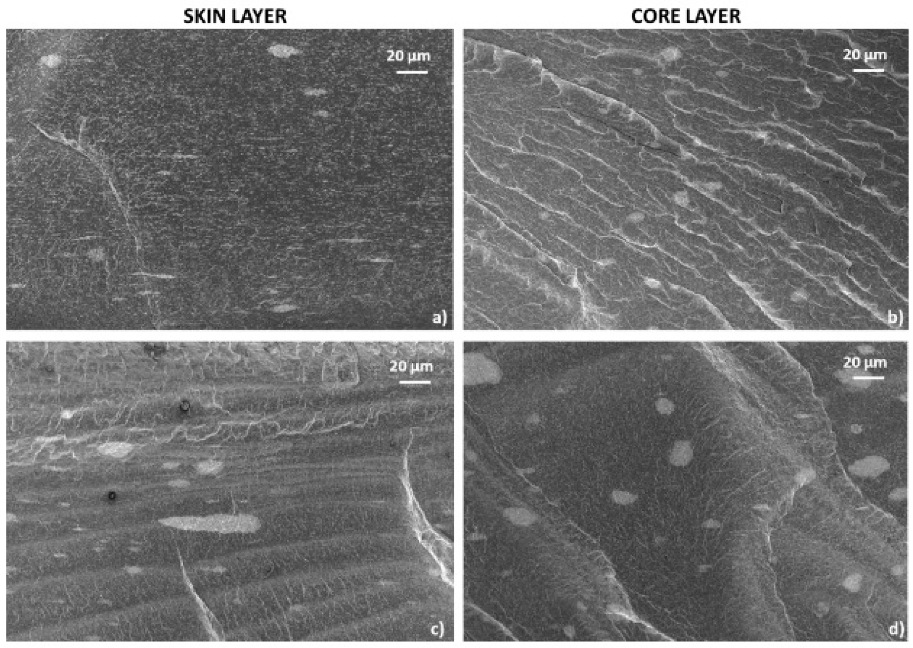 Polymers 17 00517 g010