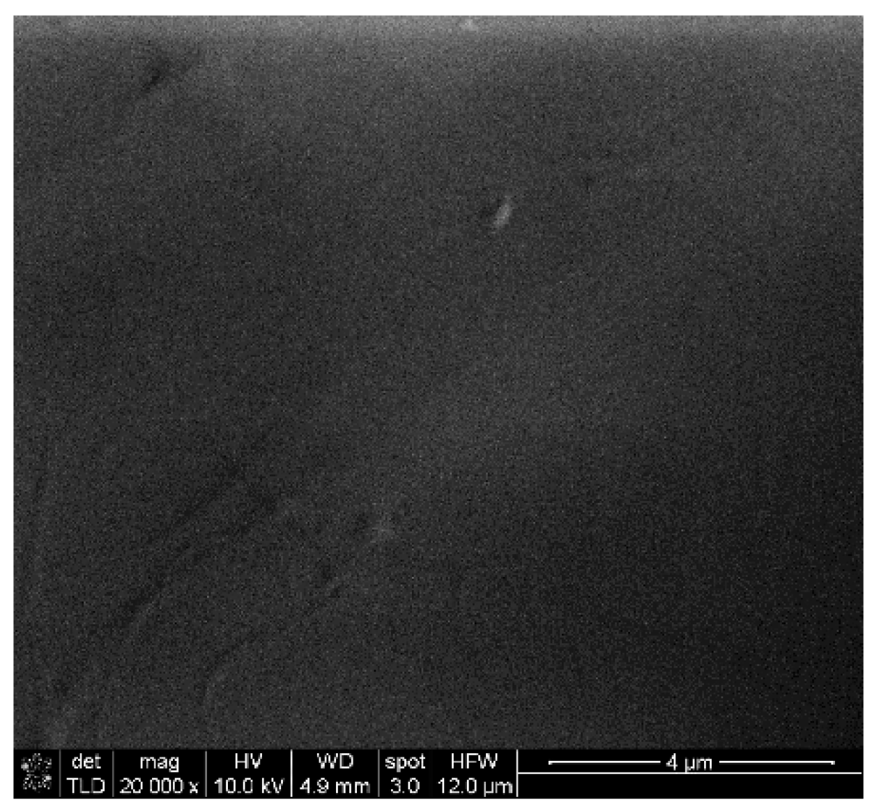 Polymers 17 00517 g012