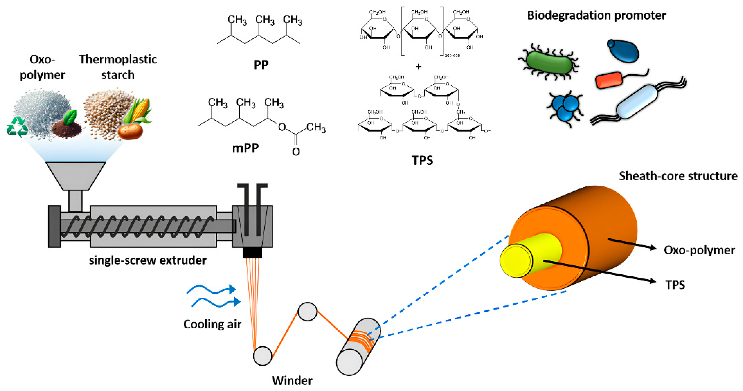 Polymers 17 00527 g001