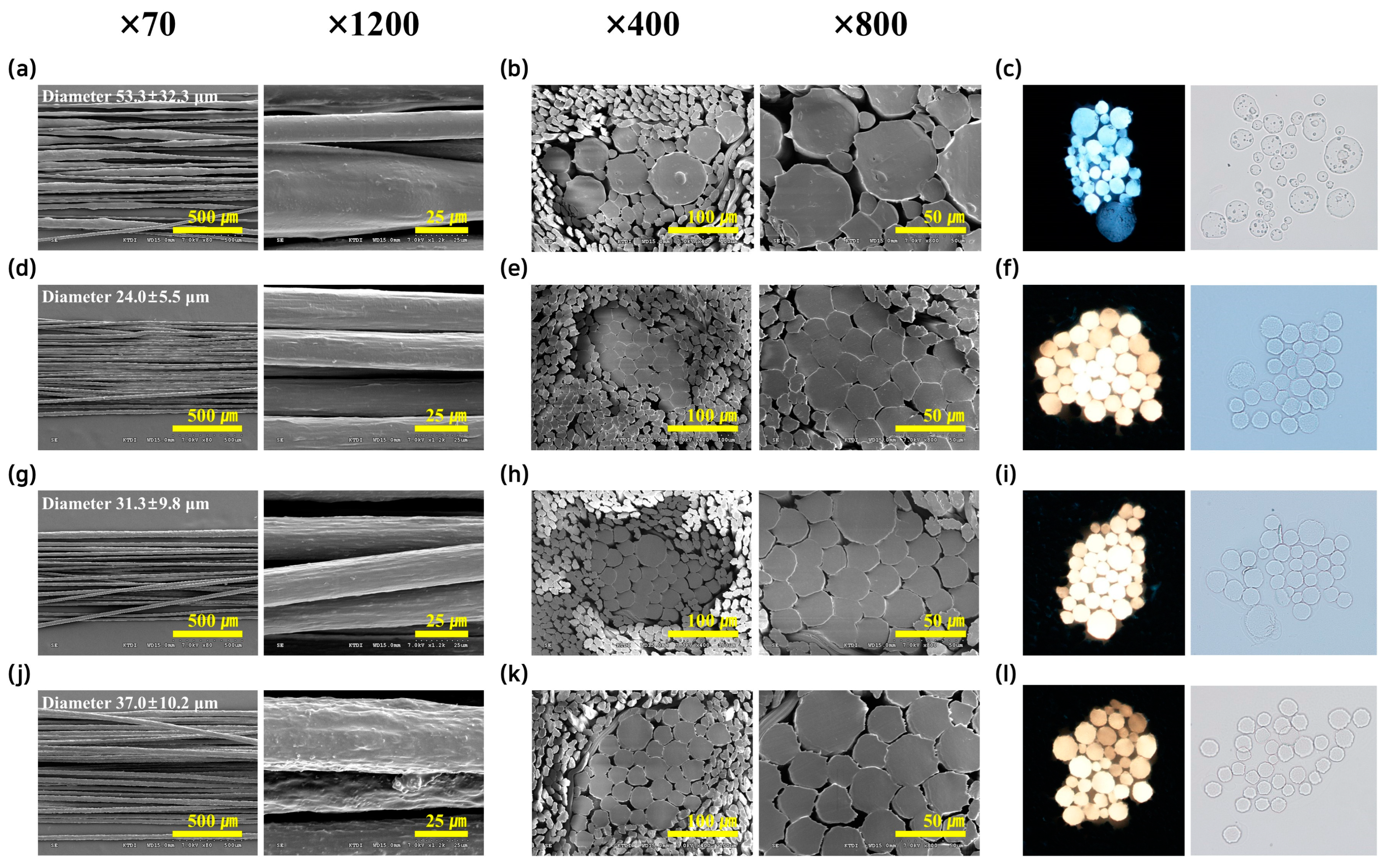 Polymers 17 00527 g002