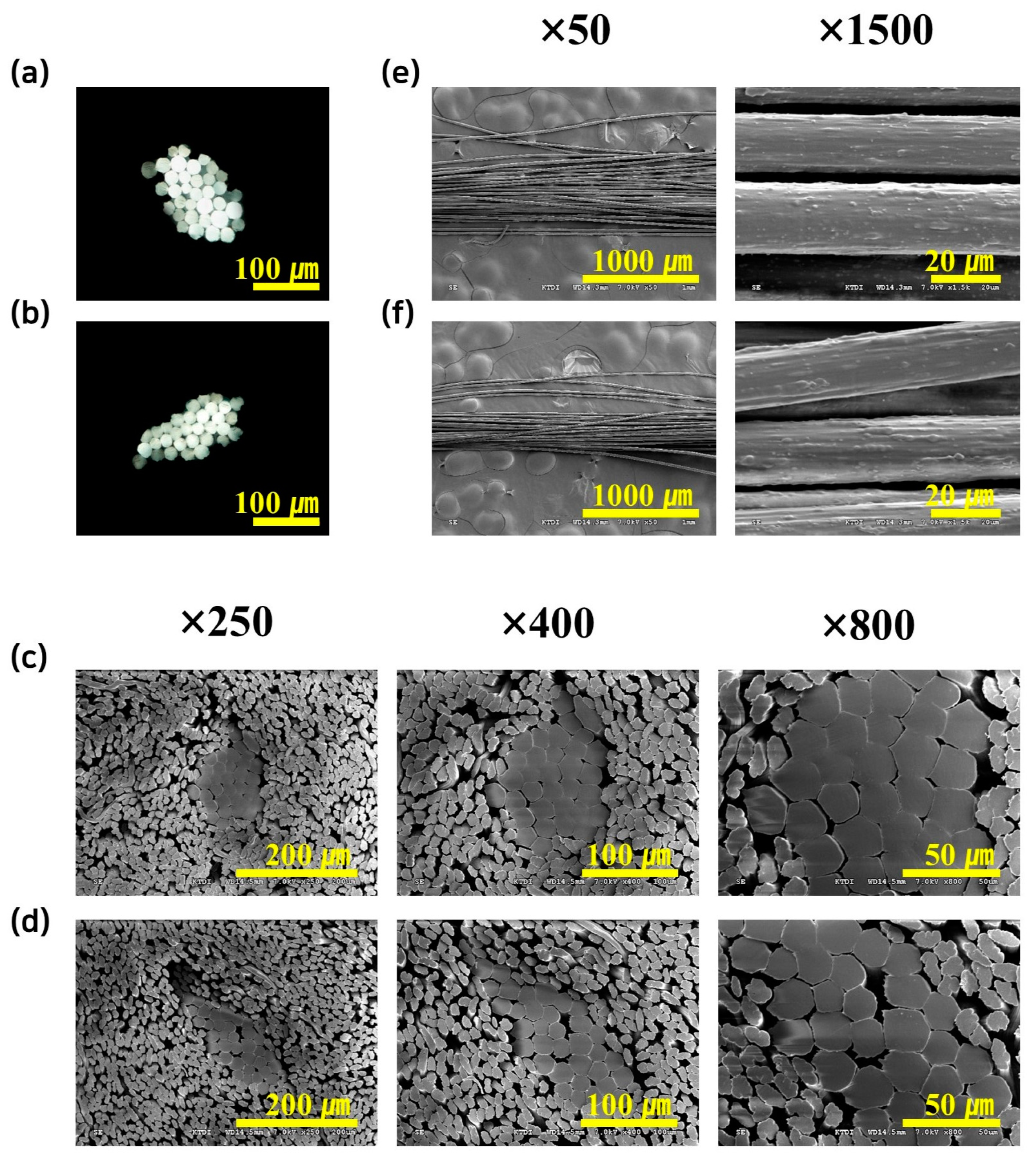 Polymers 17 00527 g005