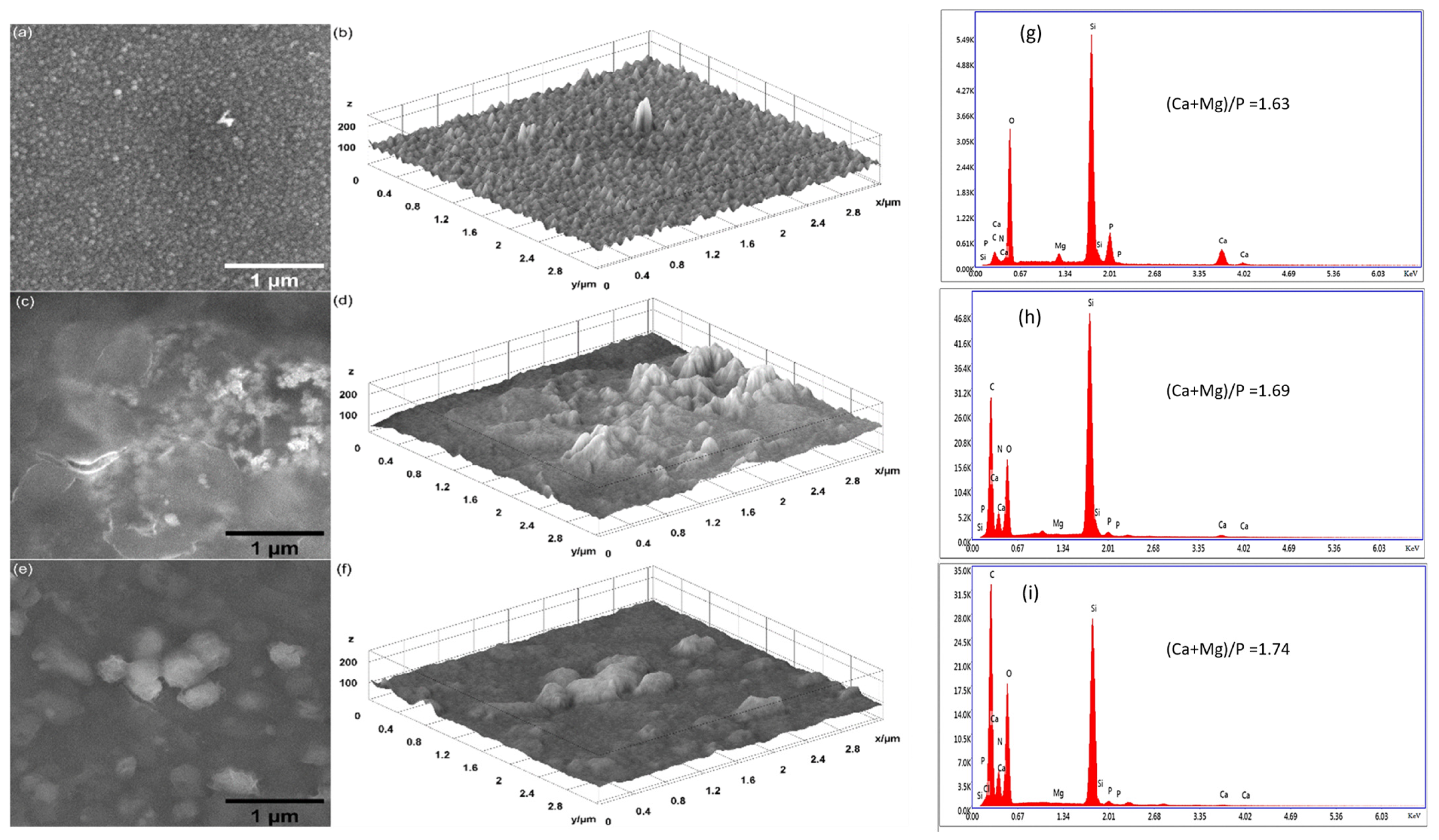 Polymers 17 00533 g004