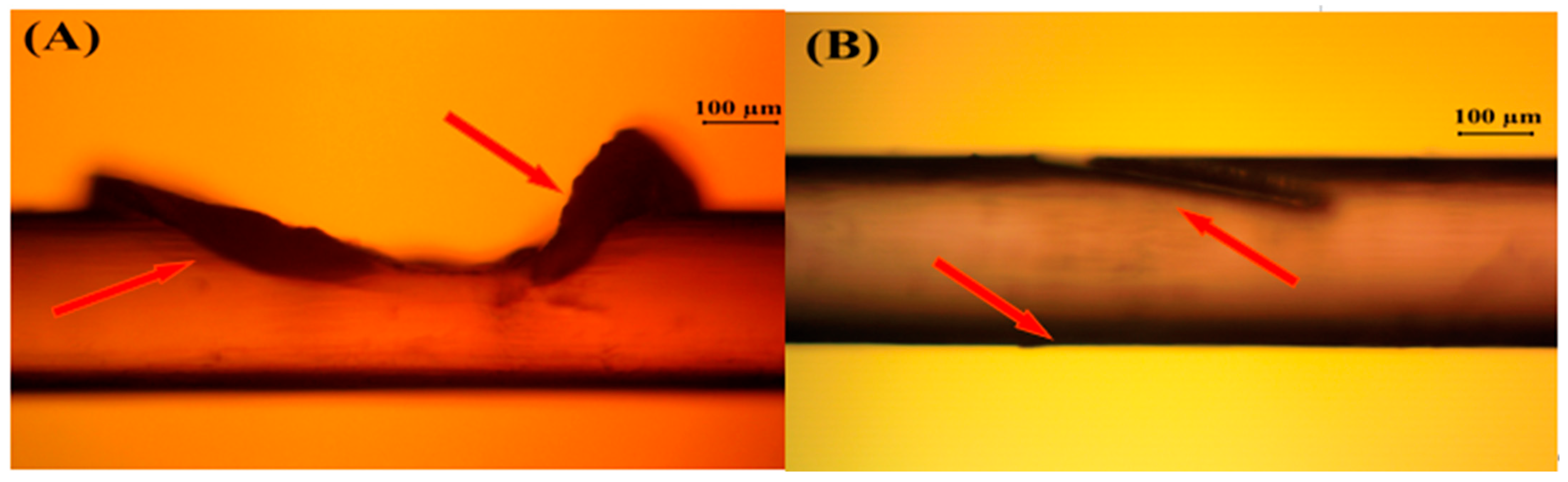 Polymers 17 00544 g004