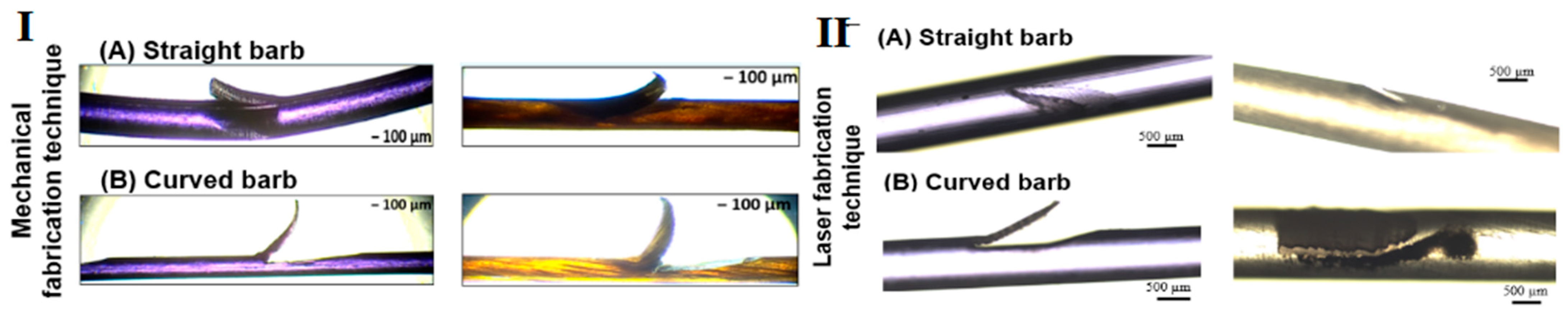 Polymers 17 00544 g005