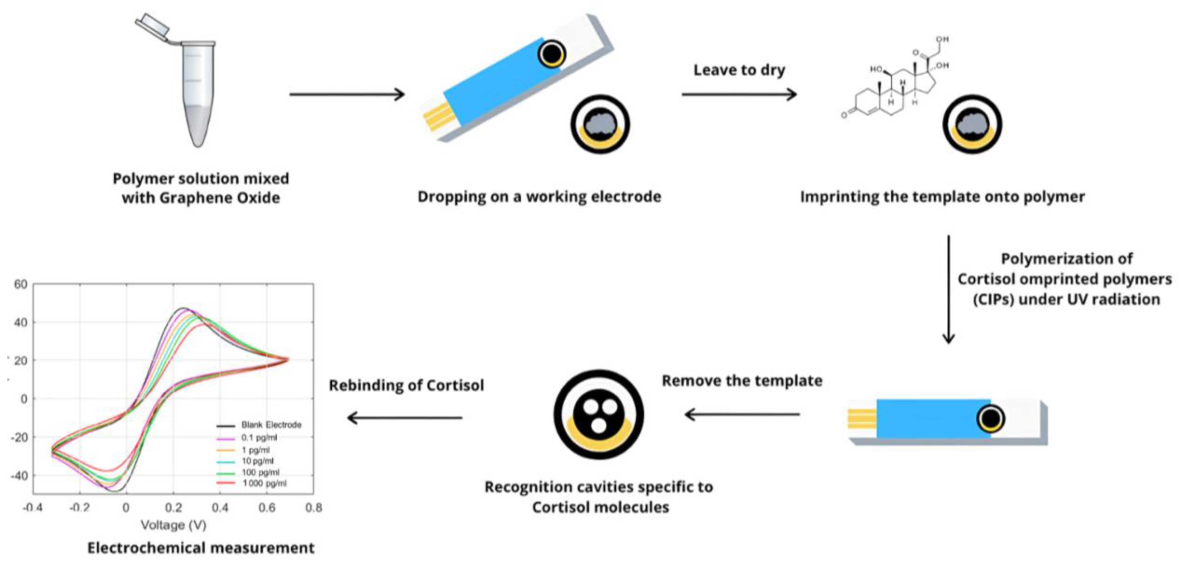Polymers 17 00545 g001