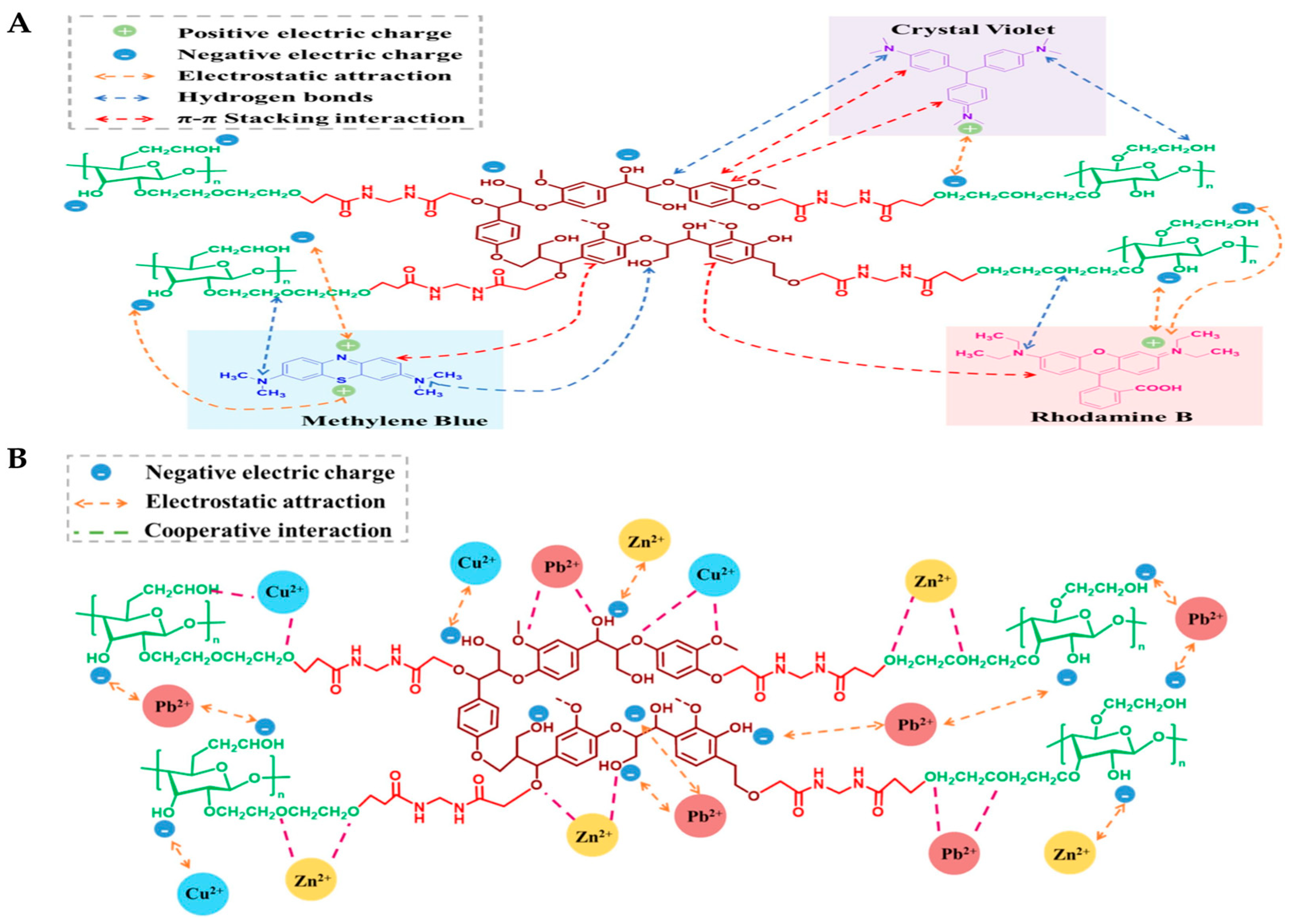 Polymers 17 00559 g001