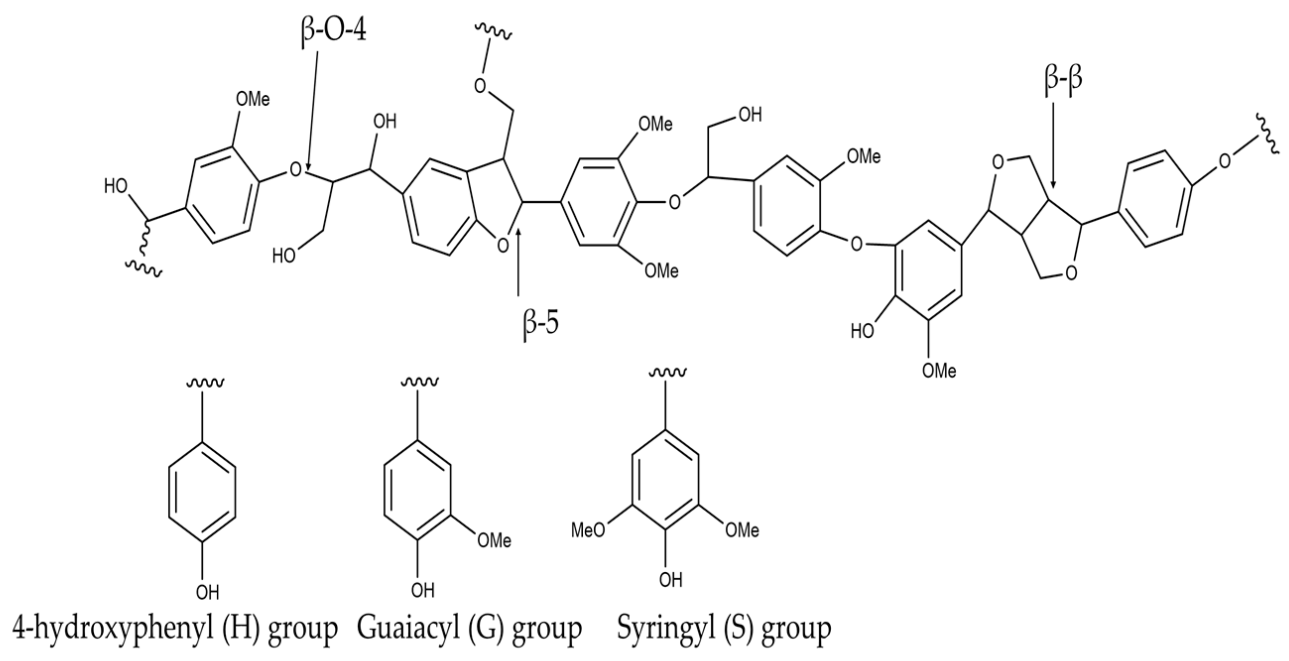 Polymers 17 00559 g008