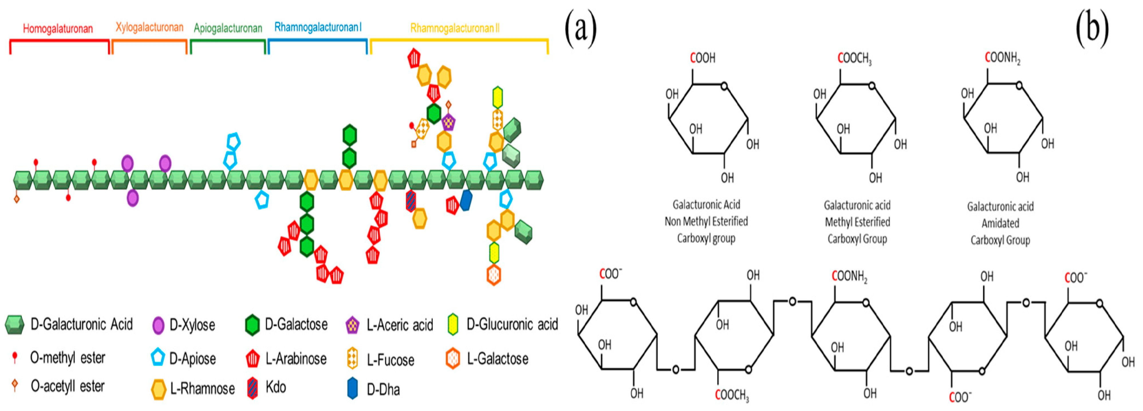 Polymers 17 00559 g010