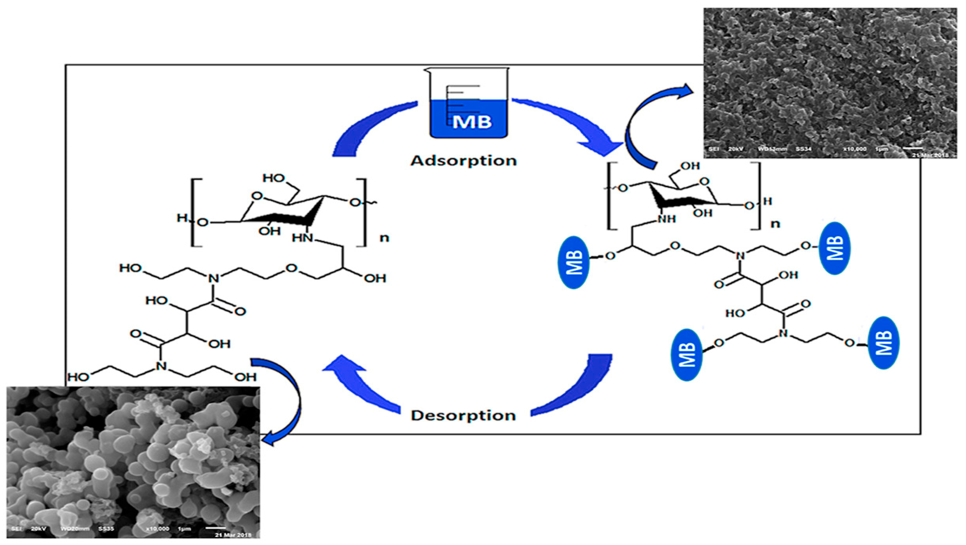 Polymers 17 00559 g011