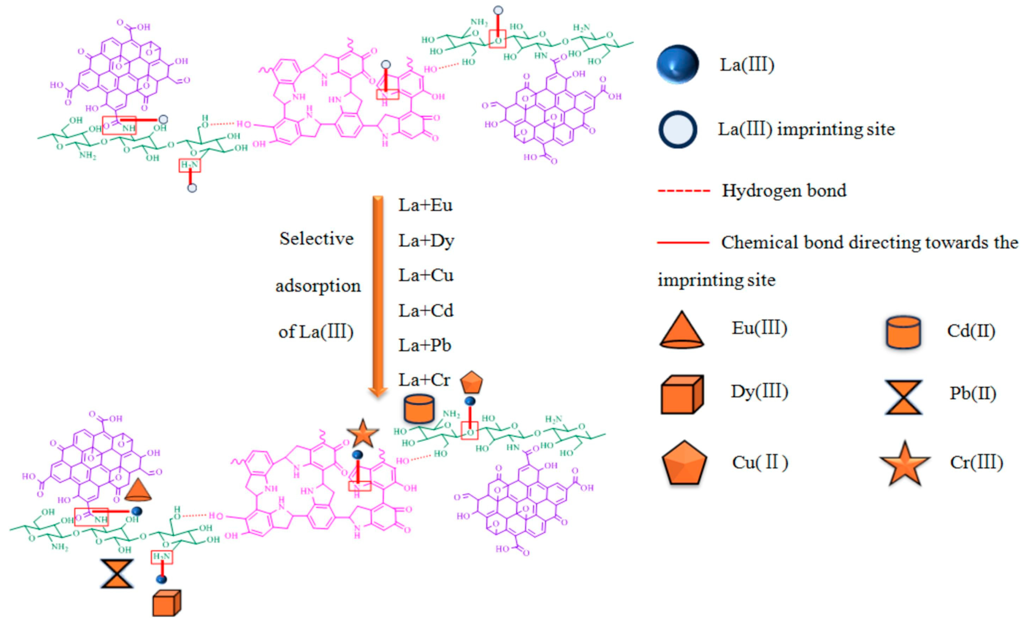 Polymers 17 00559 g018
