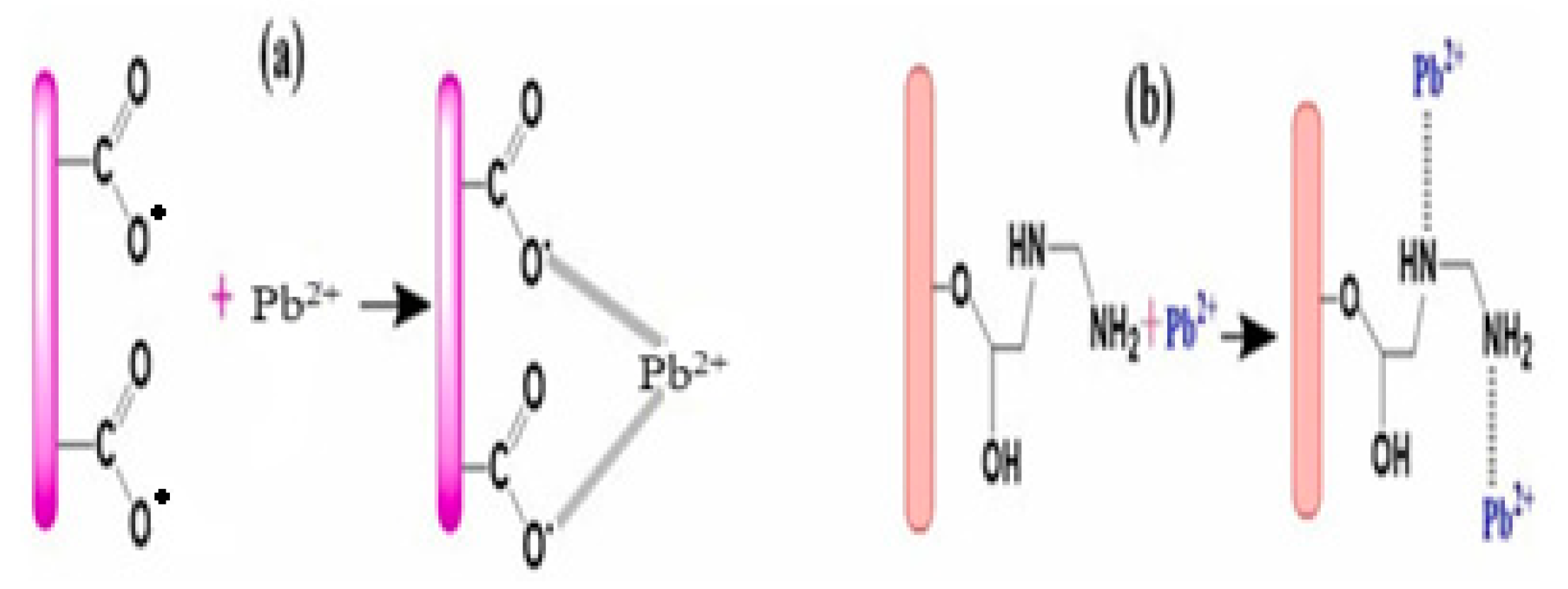 Polymers 17 00559 g019