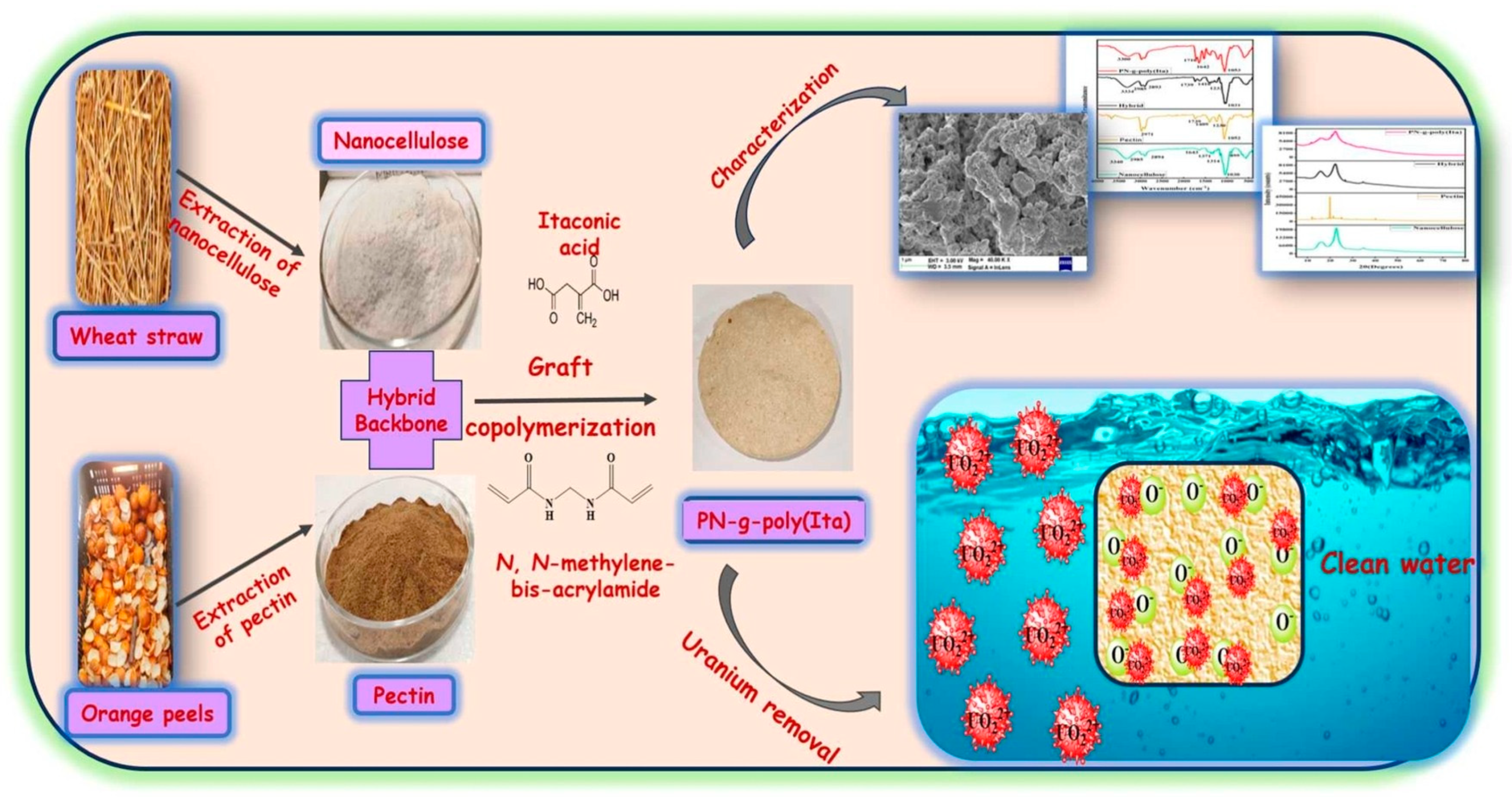Polymers 17 00559 g021