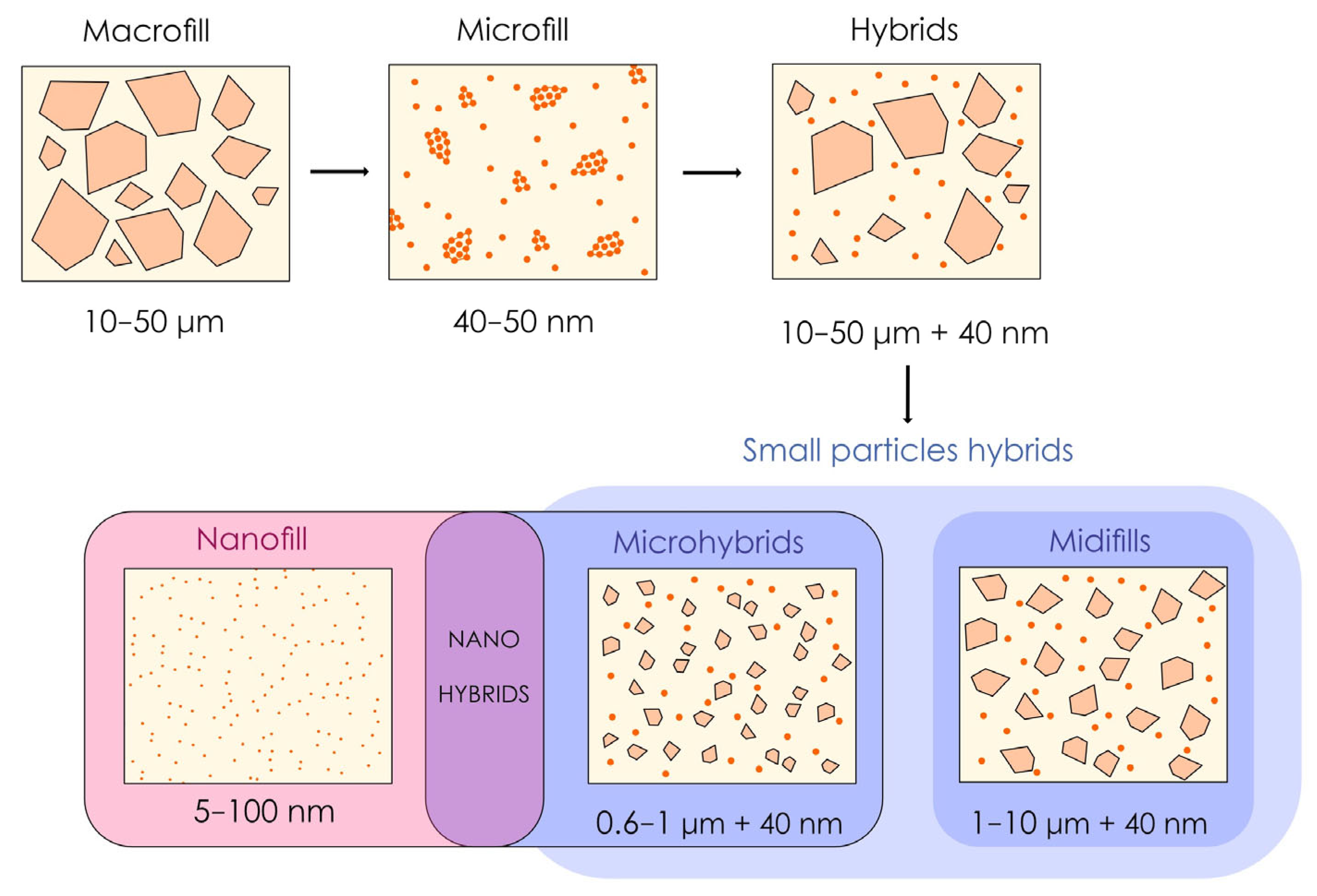 Polymers 17 00564 g002