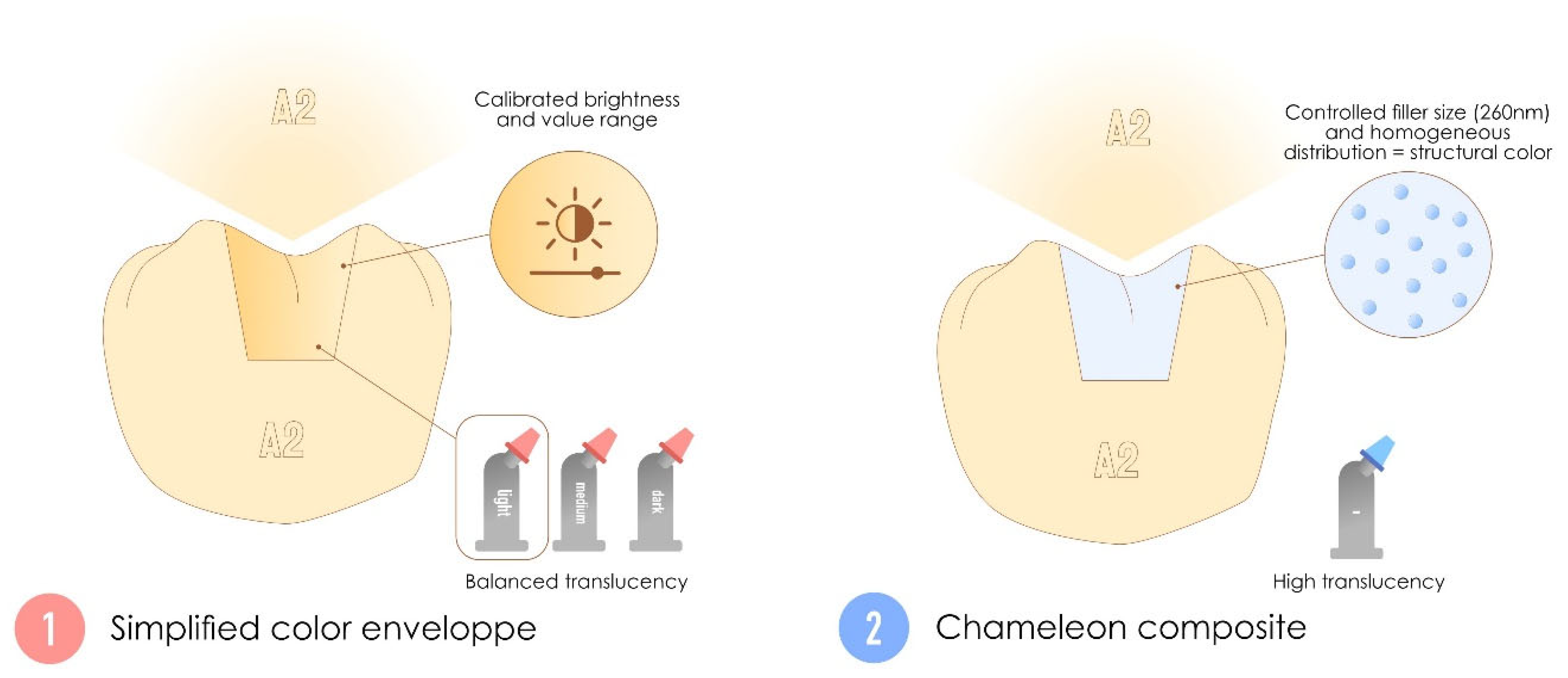 Polymers 17 00564 g013