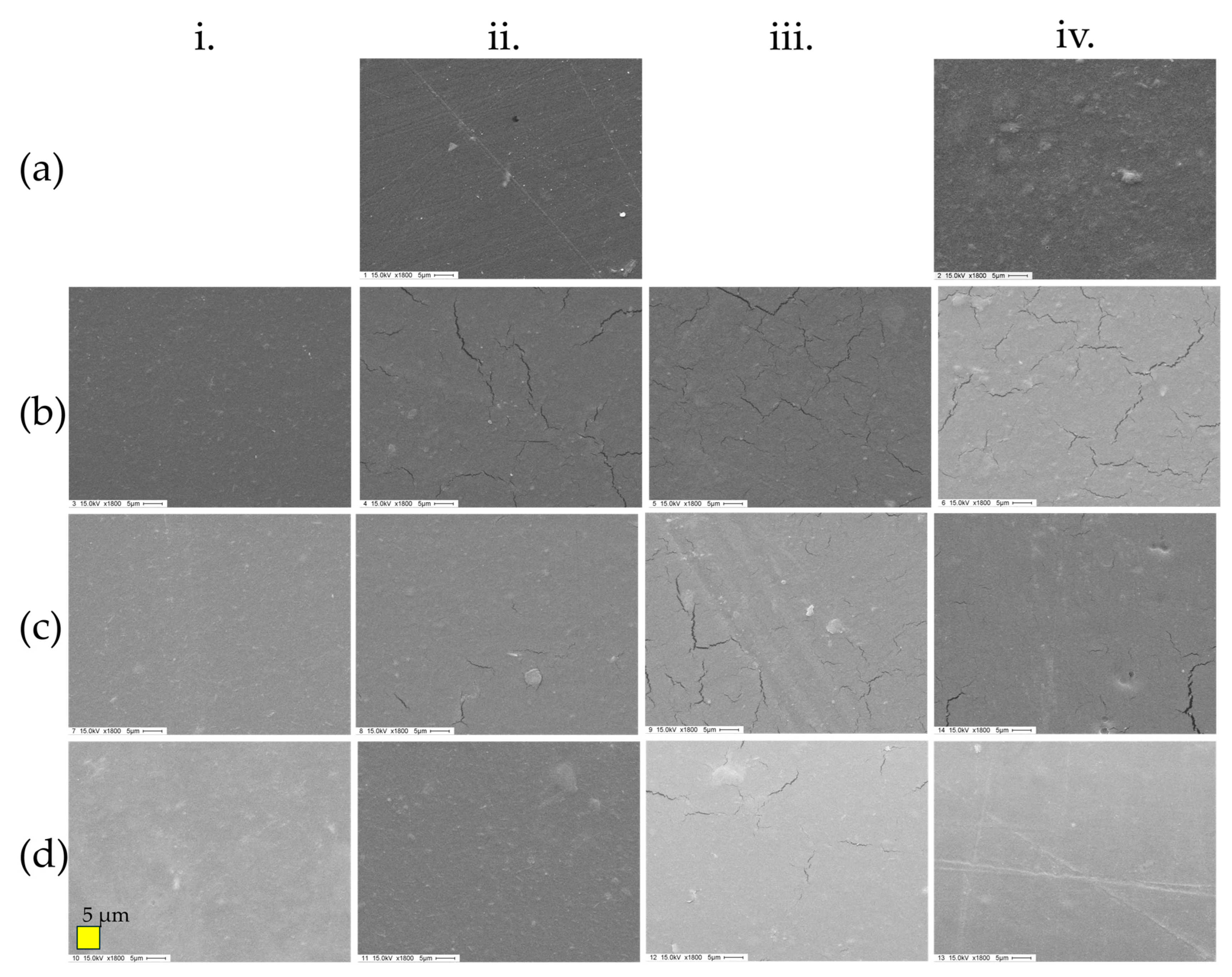 Polymers 17 00572 g004 Polymers 17 00572 g004