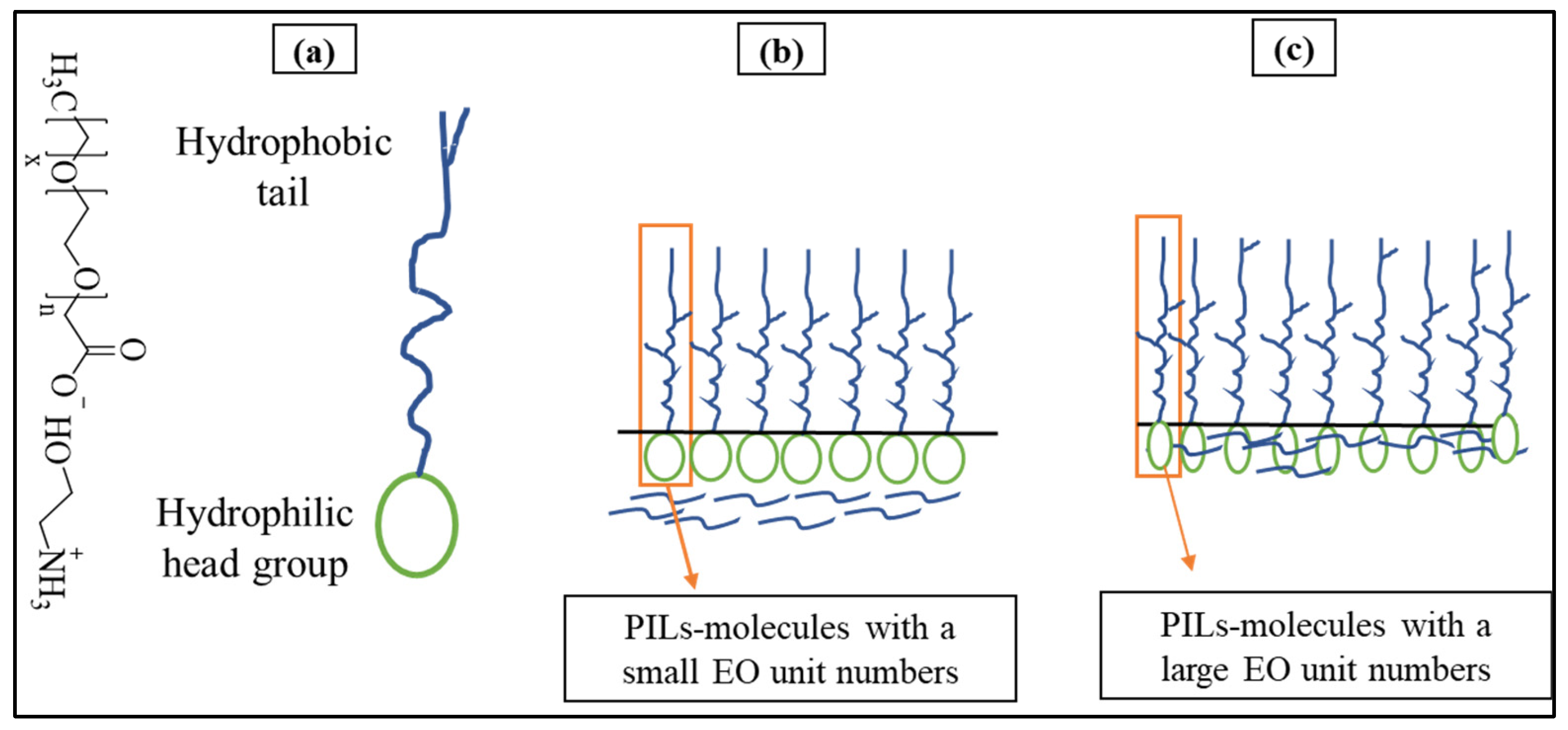 Polymers 17 00580 g007