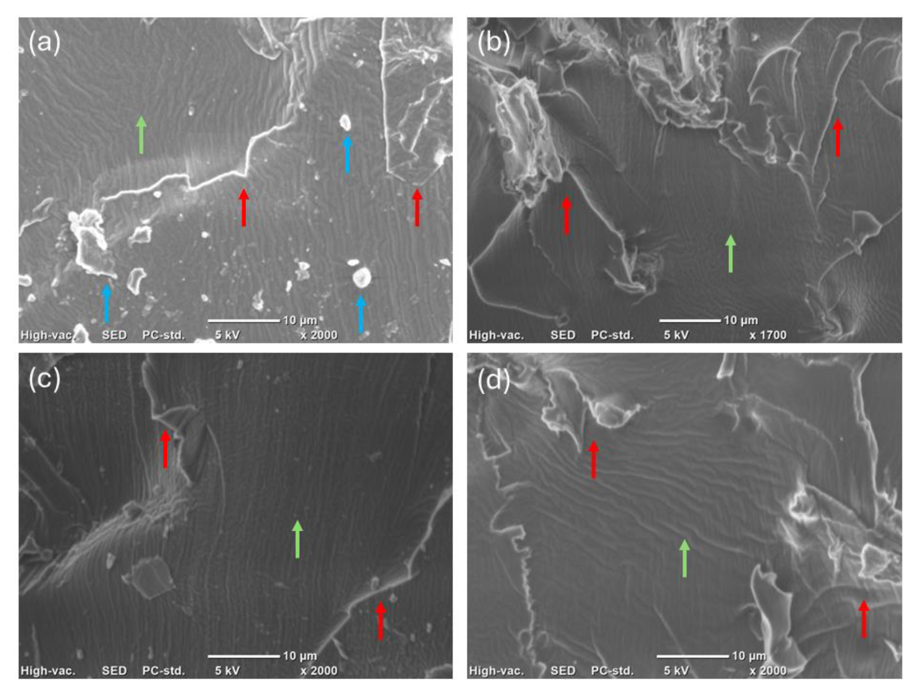 Polymers 17 00587 g007