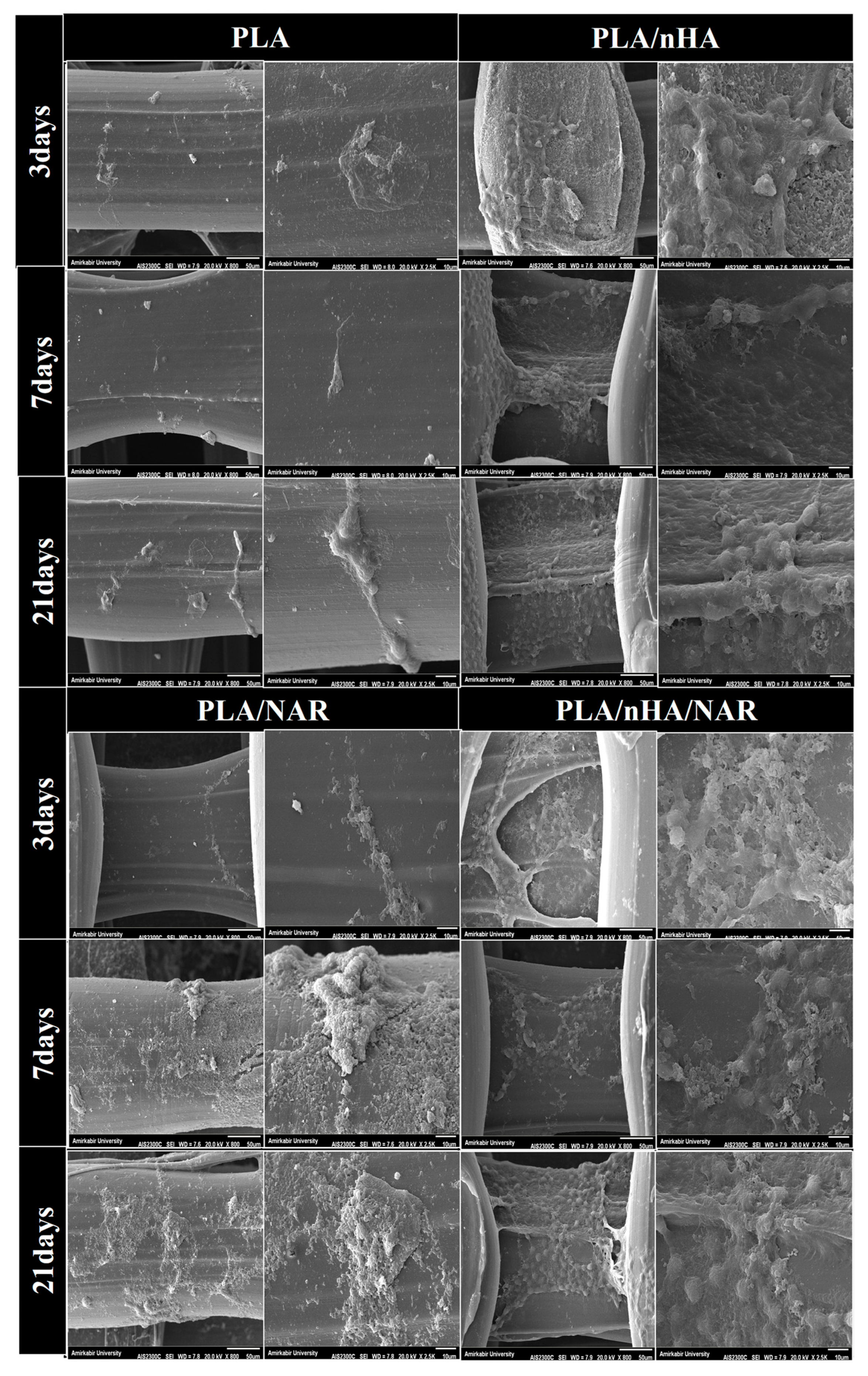 Polymers 17 00596 g003