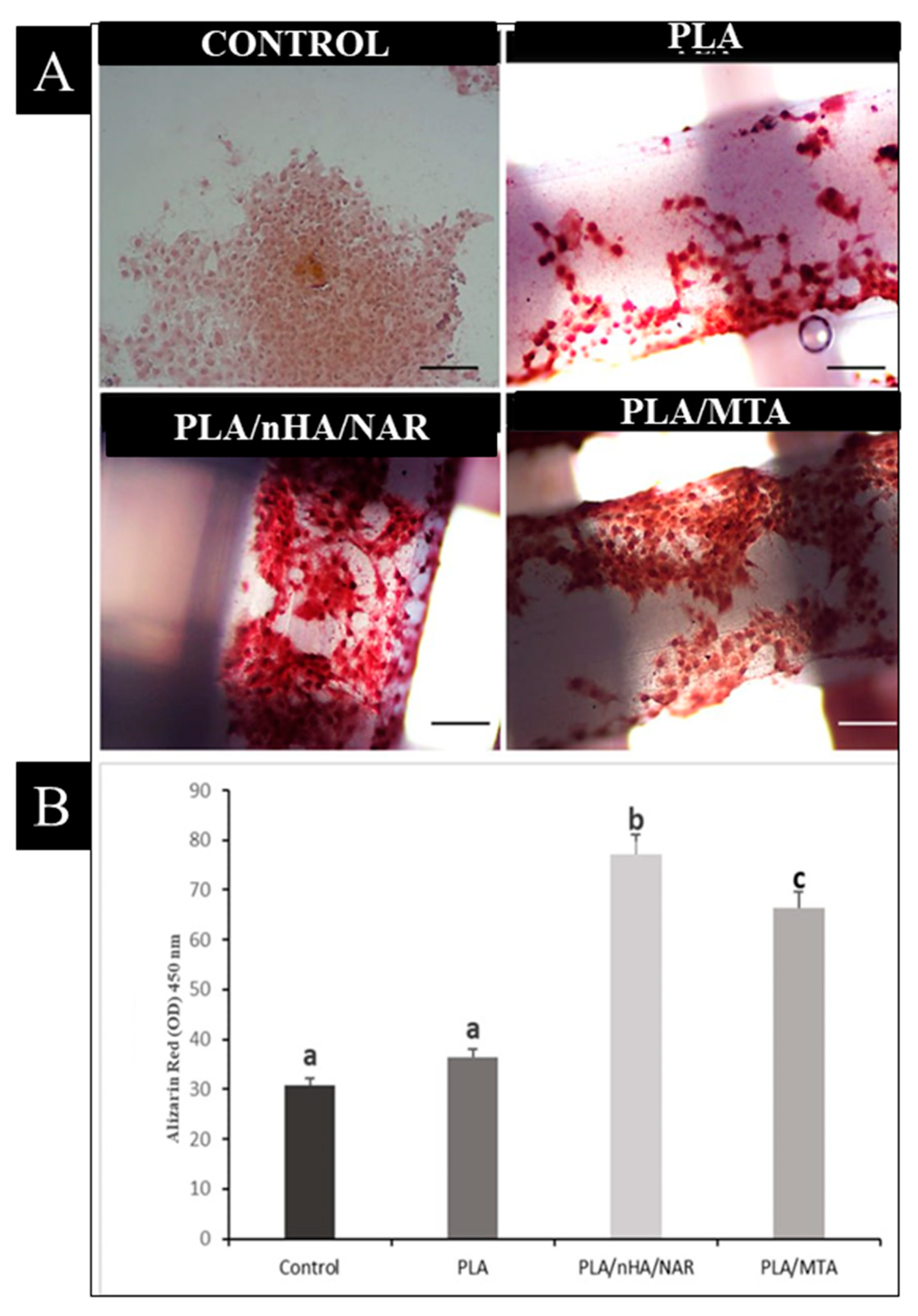 Polymers 17 00596 g004