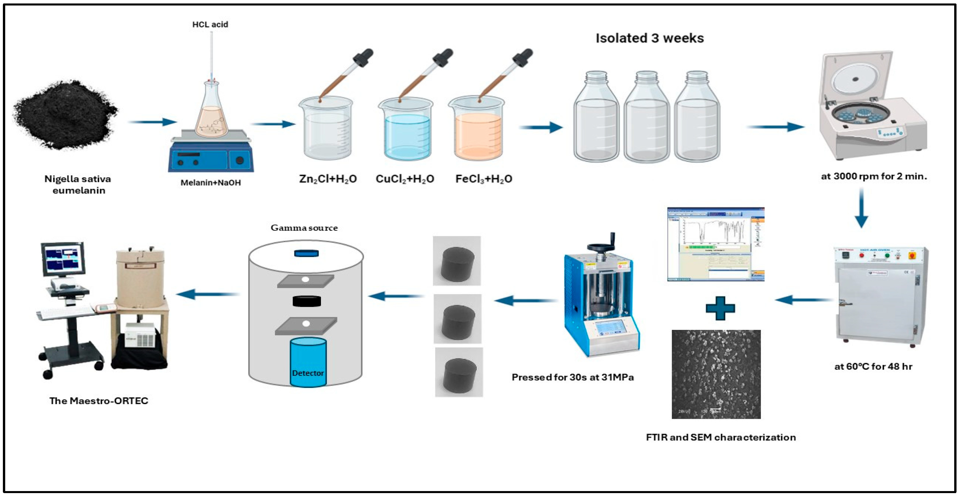 Polymers 17 00609 g001